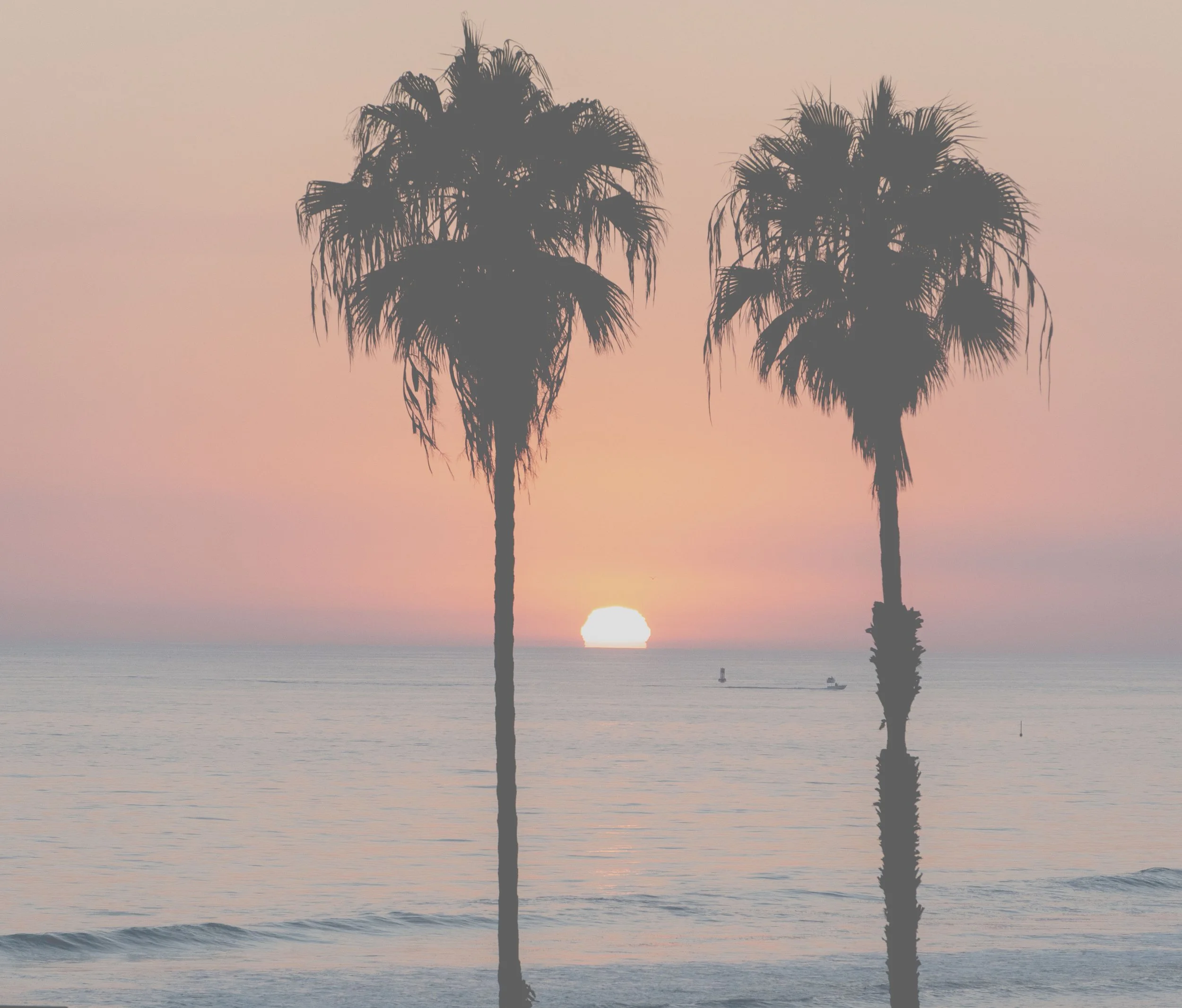 Manuel Mode ISO 32000f_2233mm_11.JPG