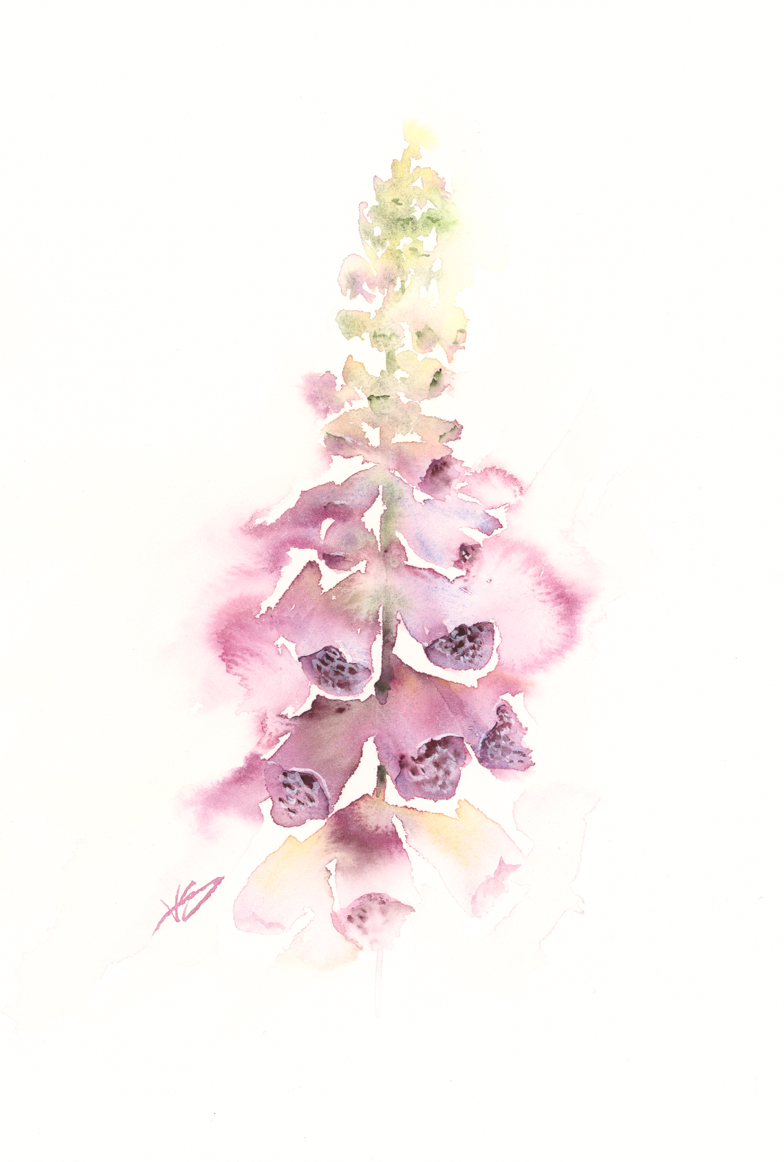 "Foxglove" 9x12 inches