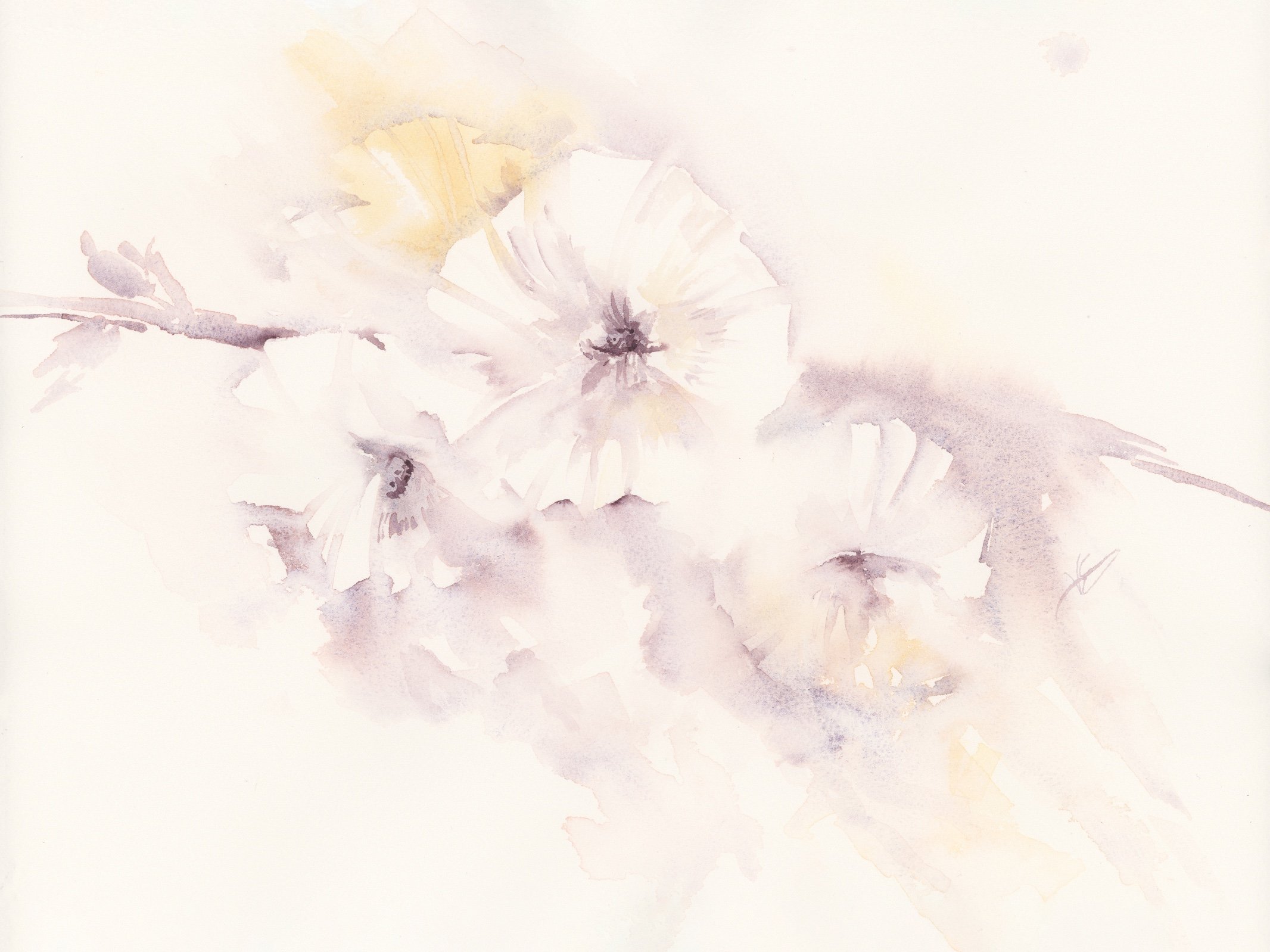 Painting Loose and Light-Filled Hollyhocks: A Summer Memory in Winter