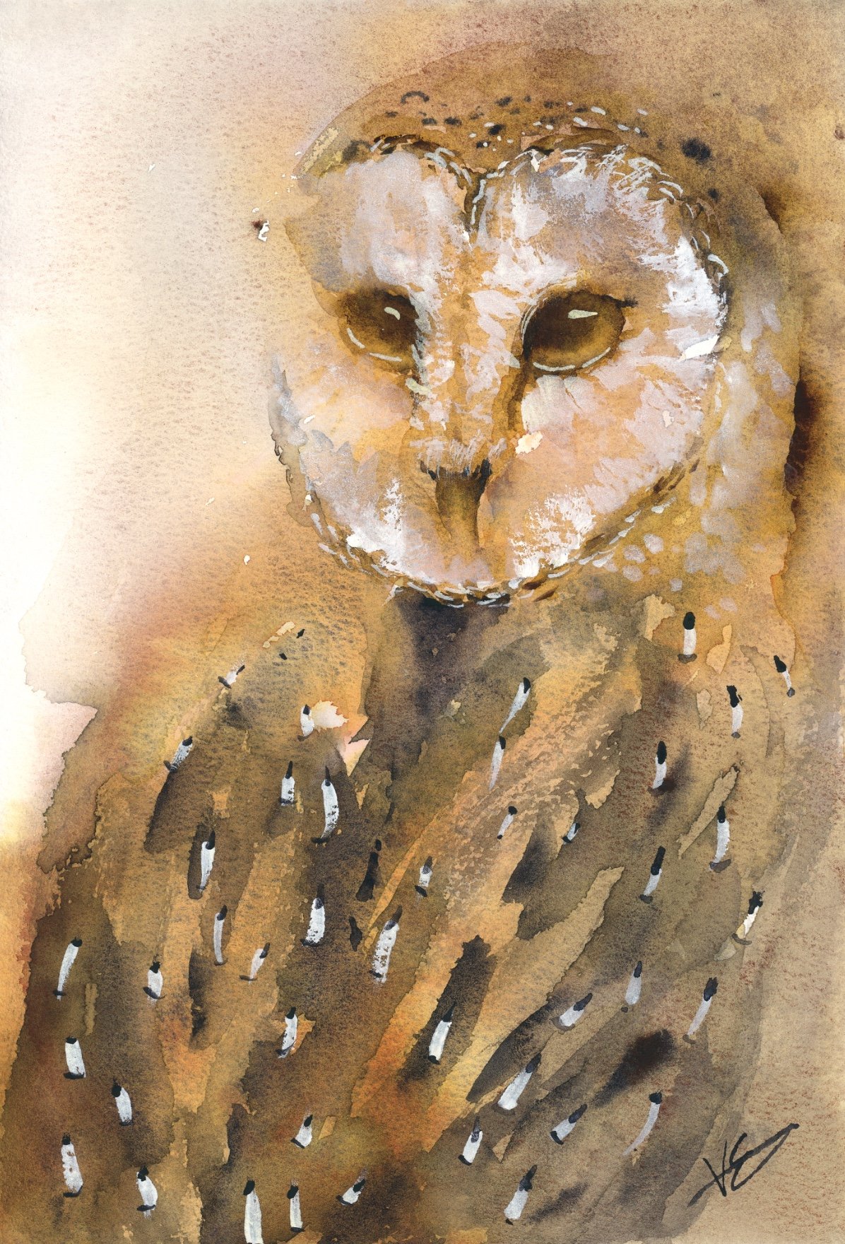 Painting a Nocturnal Gaze: Creating a Magical Barn Owl in Watercolor