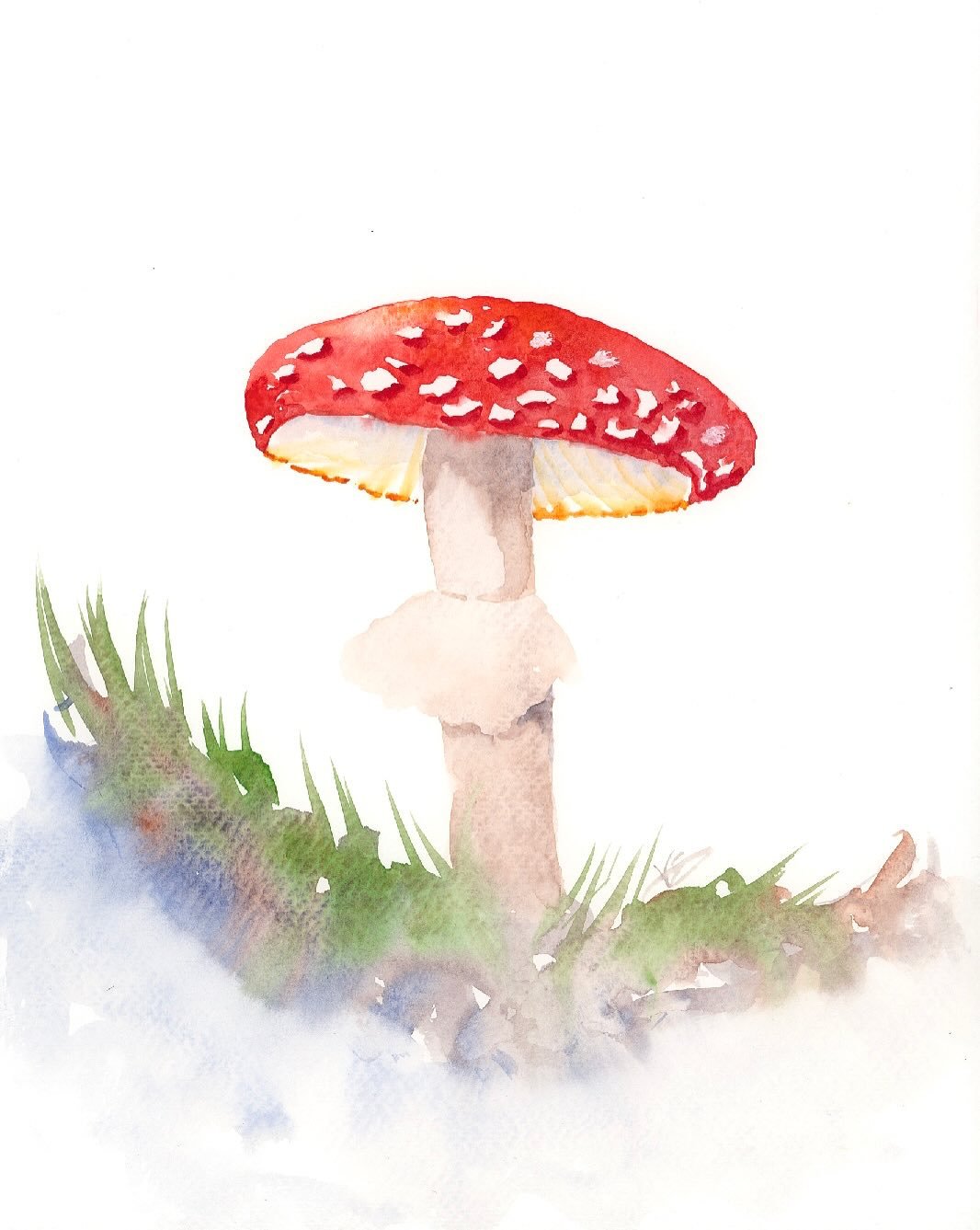 Got a new watercolor tutorial up! This one is about painting a woodland fly agaric mushroom with a loose grassy foreground. 

I used basic colors and materials for this one, so there nothing to hold you back from painting along! Head over to my YouTu