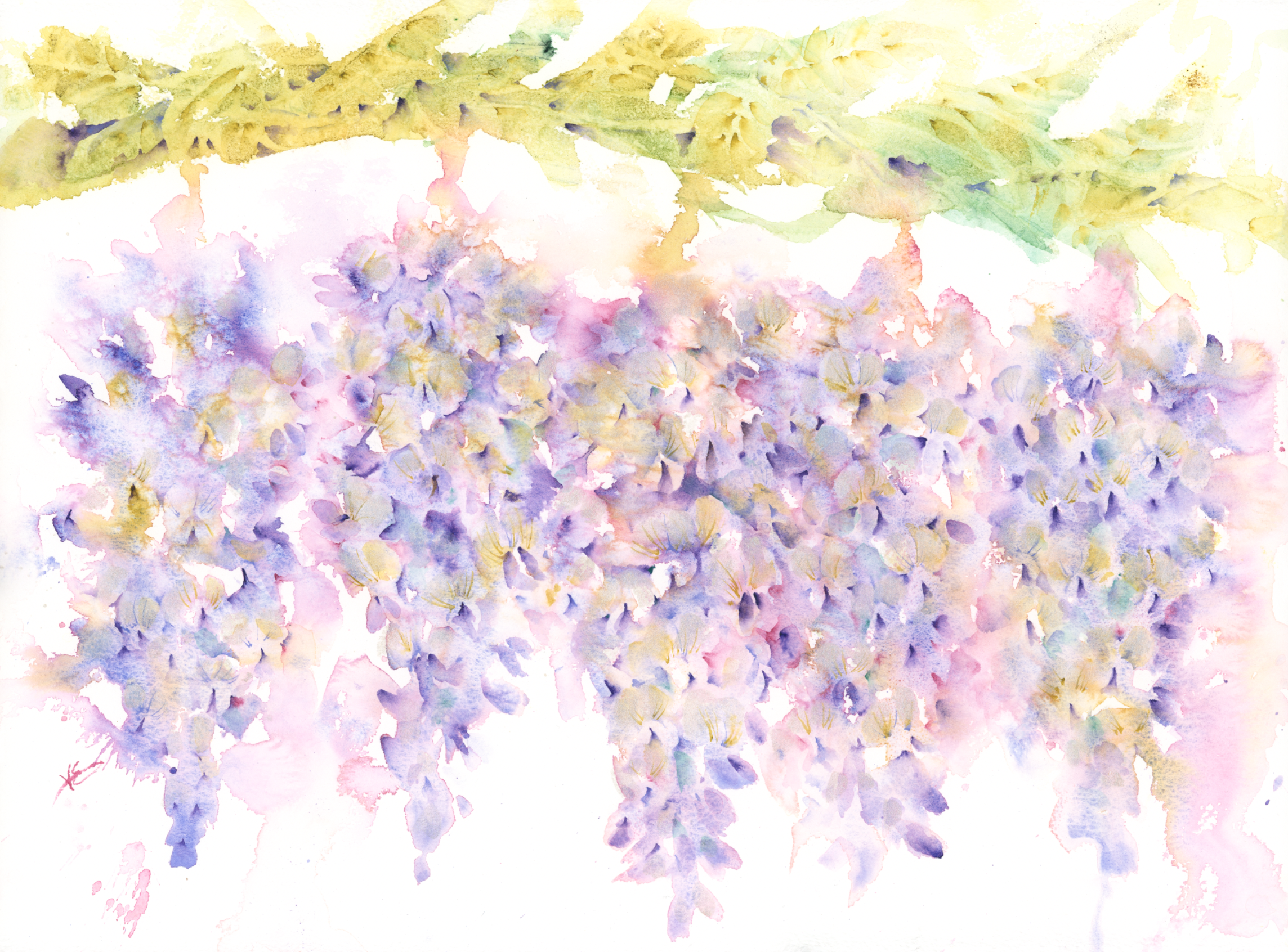 I Finally Painted Wisteria (And It Nearly Broke Me — In the Best Way)