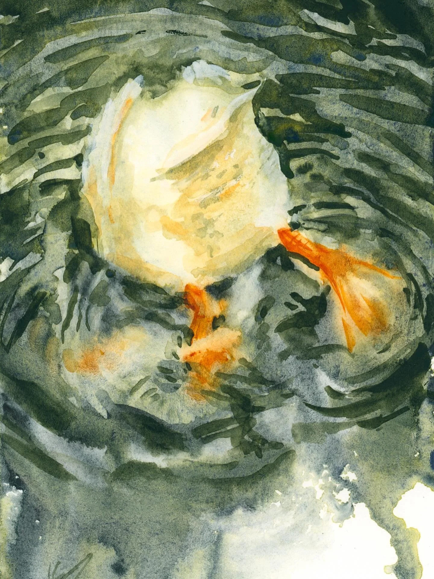 Bottoms Up!

I&rsquo;m on mini painting 4/6 with this white duck in a pond. Just like the water lilies painting, the key to convincing pond water is to use green instead of blue. 

Head over to my YouTube channel for tips and techniques so you can pa