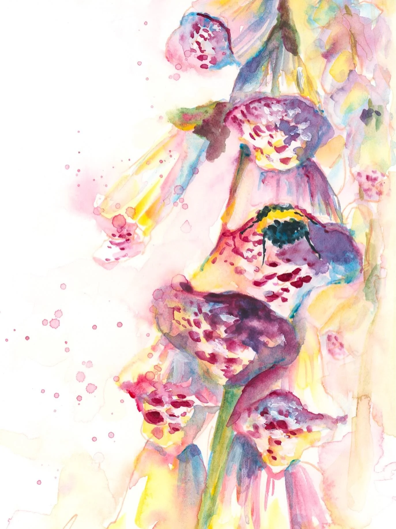 I&rsquo;m feeling all the colors in this prismatic foxglove! These grow around my house, and I feel giddy when I see bumblebees sticking out. 

#loosewatercolorflowers #colorfulpainting #messywatercolor #learnwatercolor #watercolorpainting