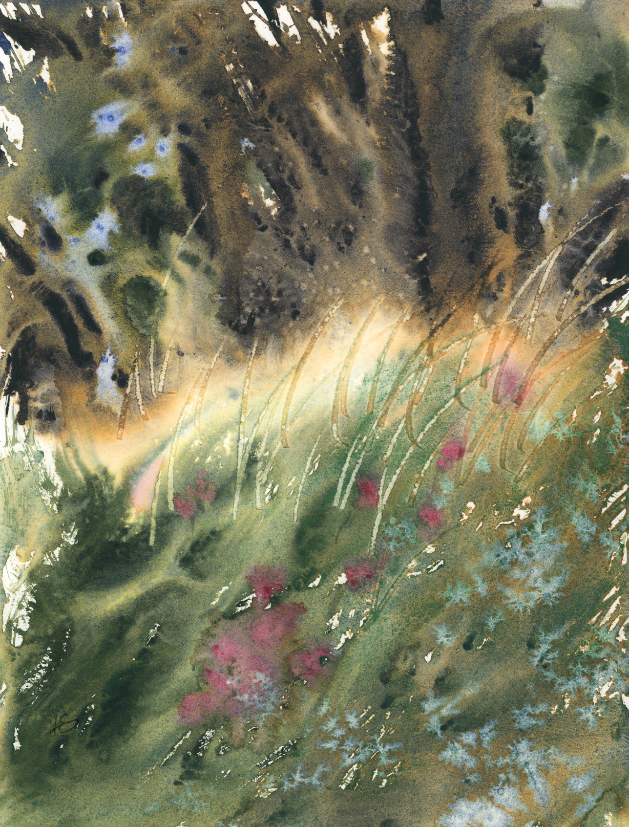 Testing New Gear on a Drippy Meadow Landscape