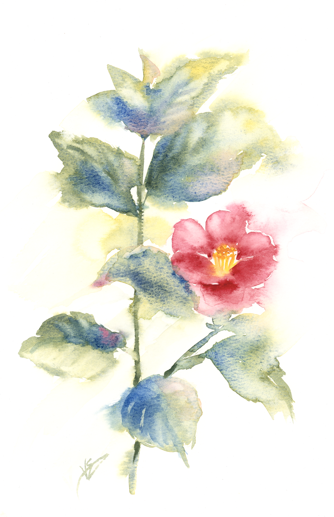 Painting a Camellia: Lifting Color, Complementary Schemes, and Not Wasting a Scrap of Paper