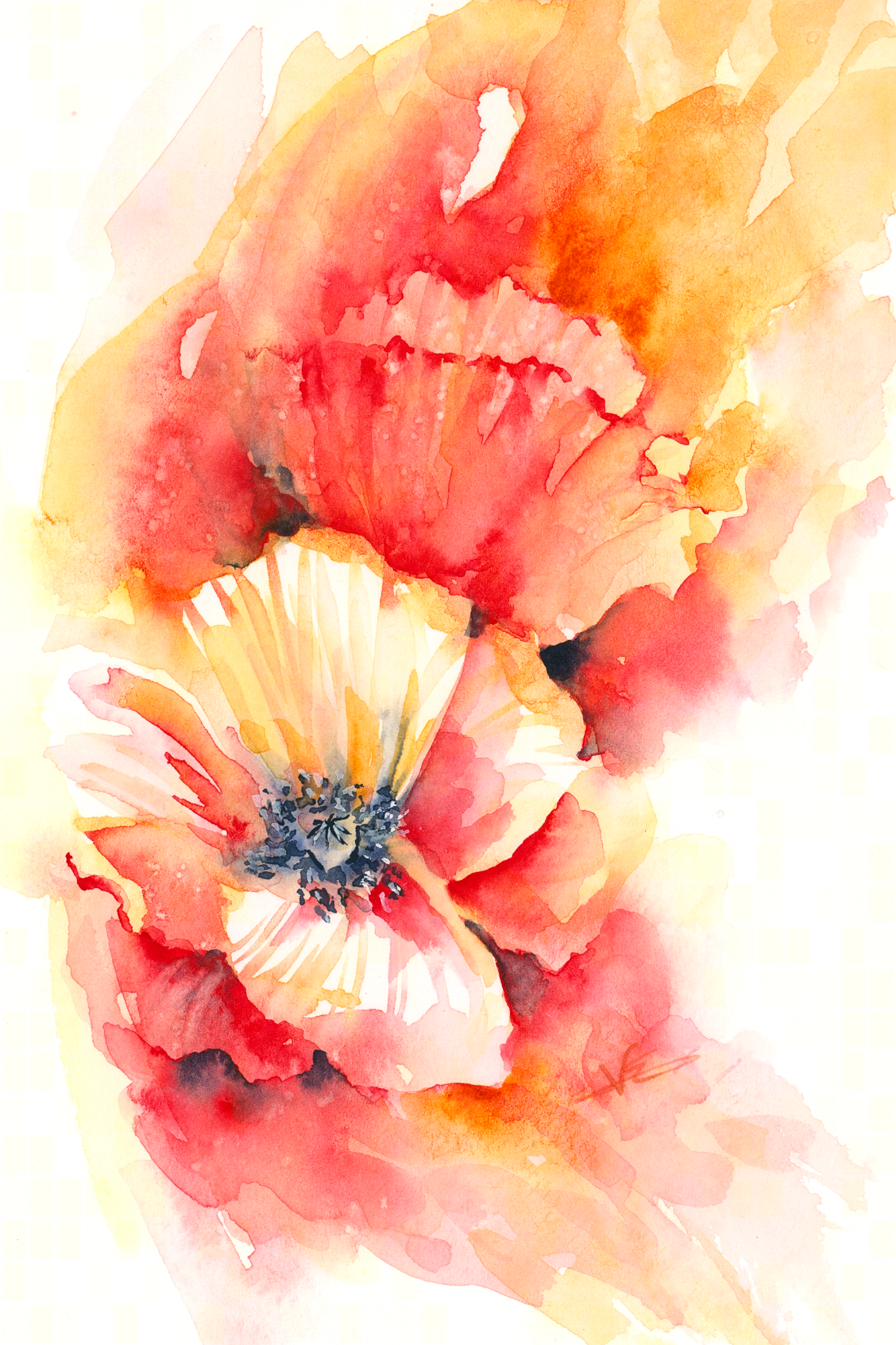 Vibrant Poppy: Painting Without a Sketch (and Without a Studio)