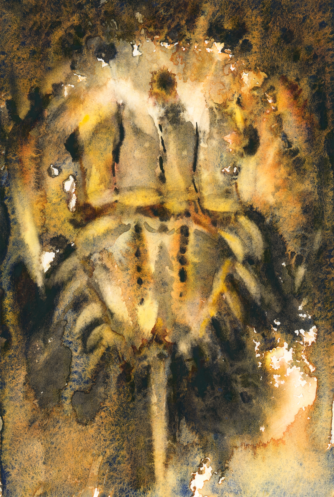 Painting a Horseshoe Crab With Granulating Watercolor: A Mini Painting Experiment