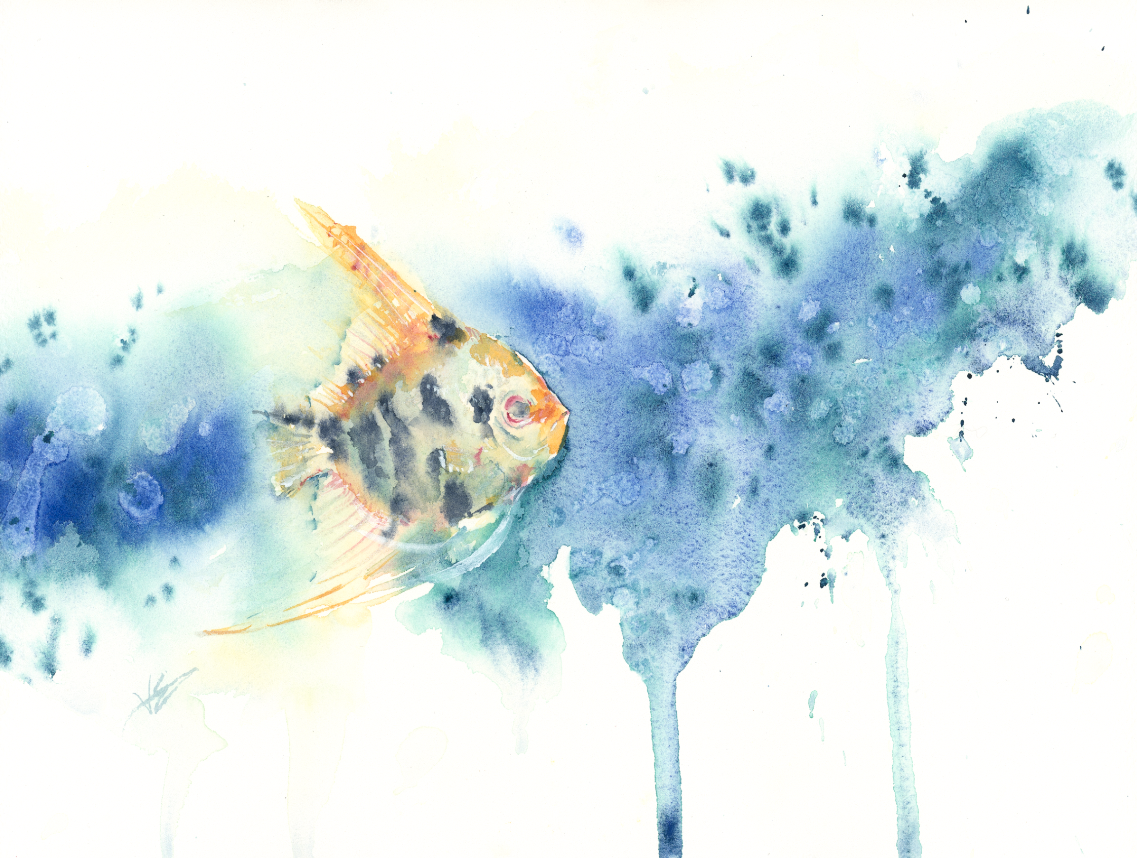 "Angelfish" 9x12 inches