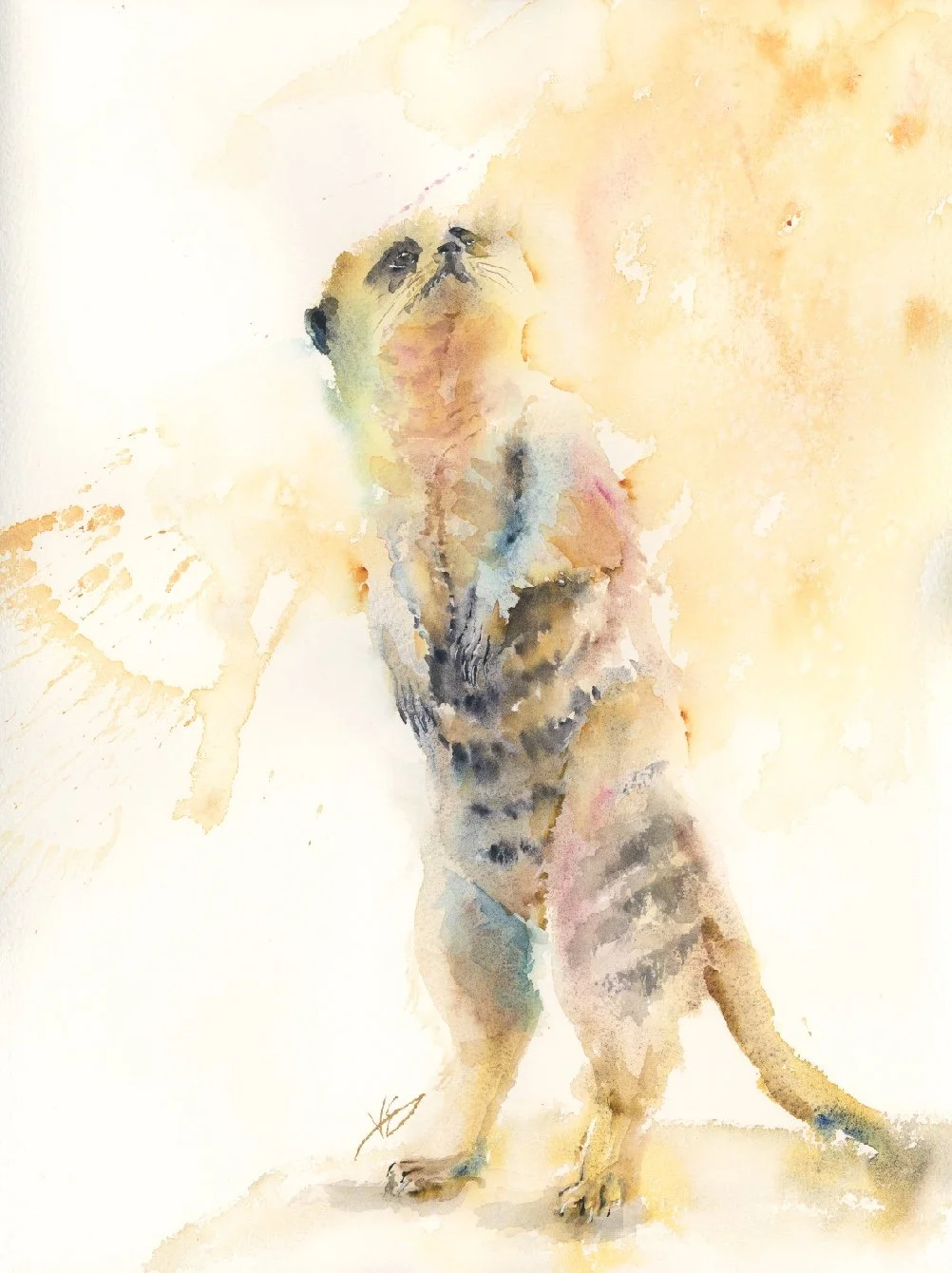 "Grassmere Meerkat" 12x16 inches