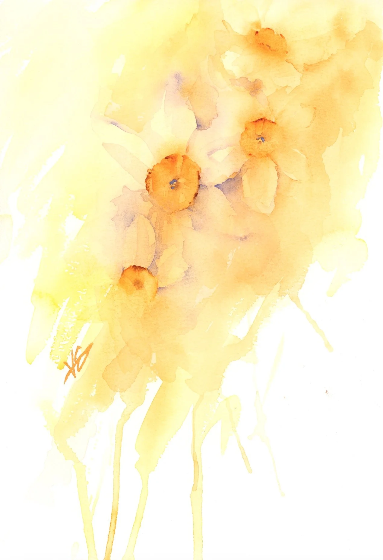 loose watercolor daffodils