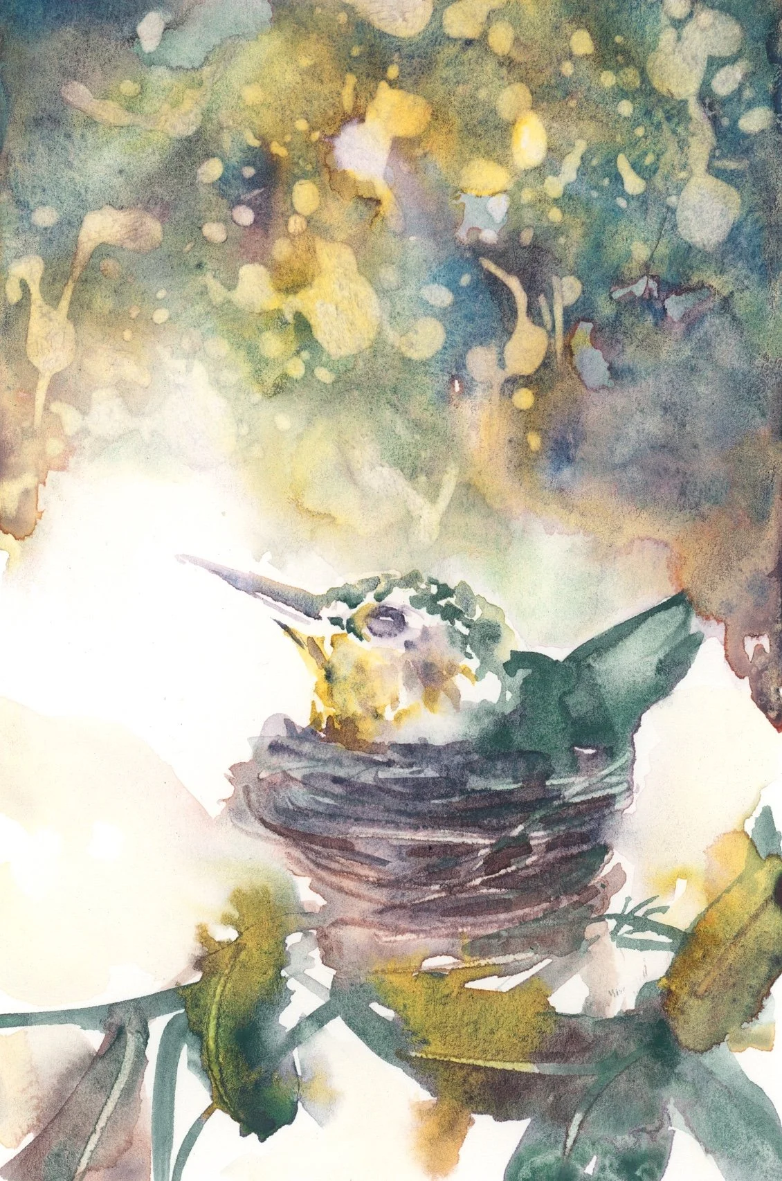 "Hummingbird Nest" 4x6 inches