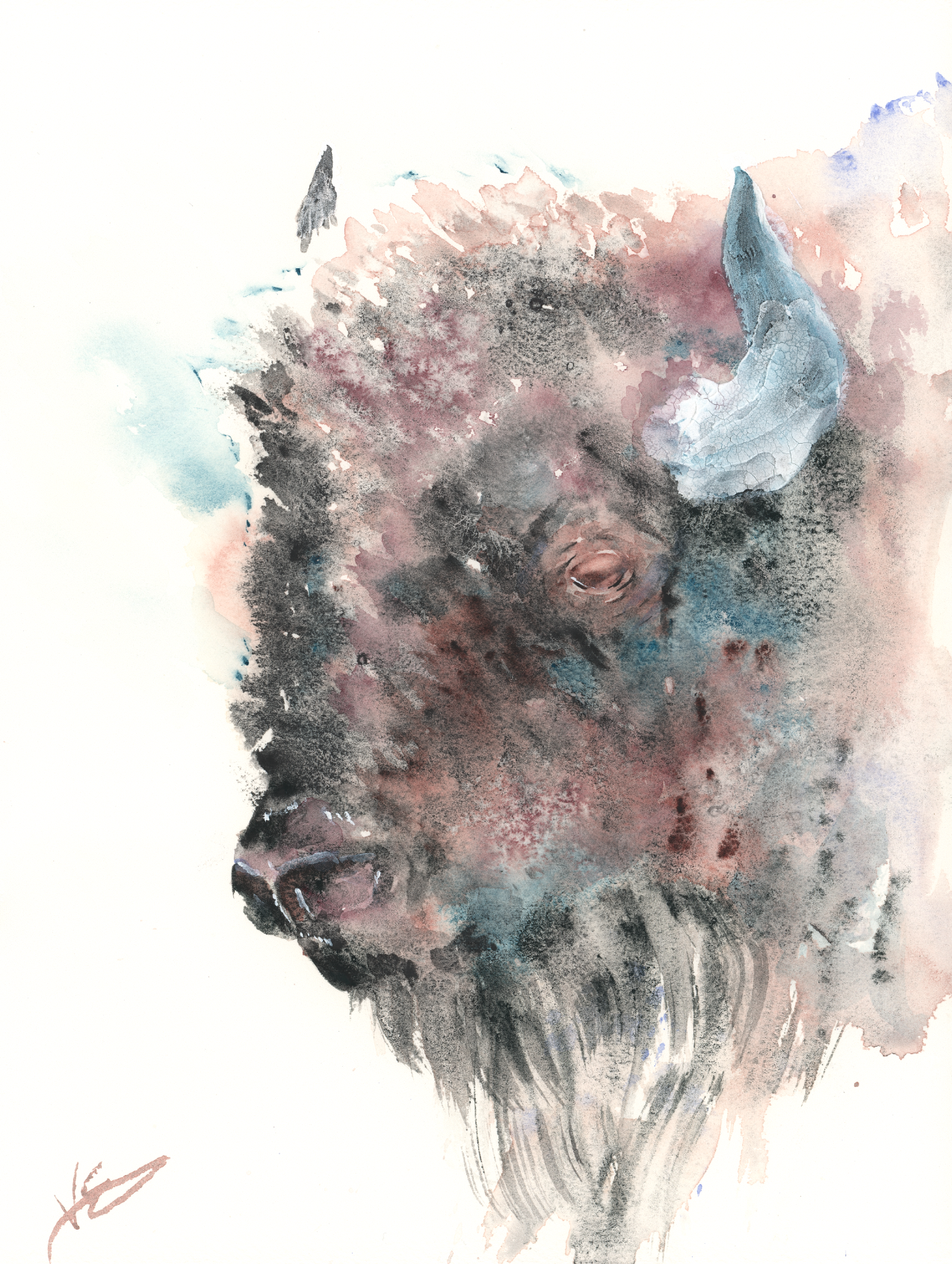 "American Bison" 9x12 inches