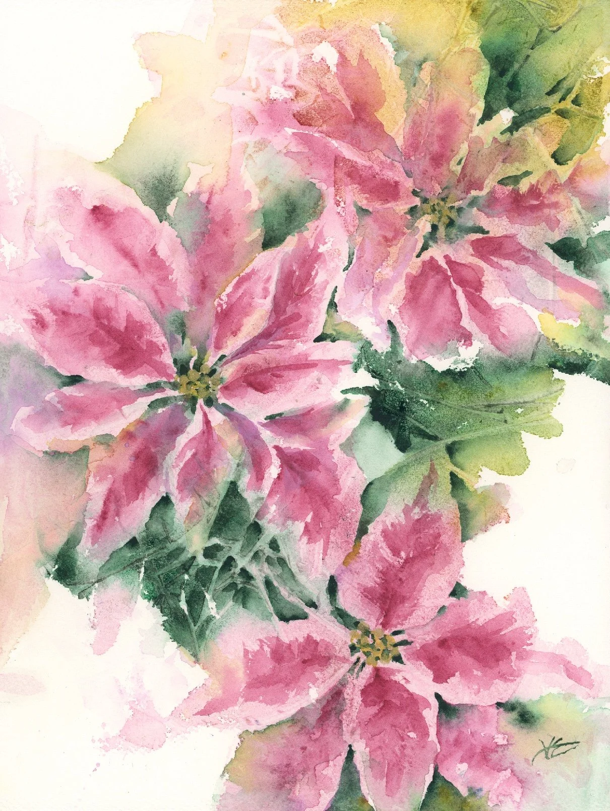 "Pink Poinsettias" 9x12 inches