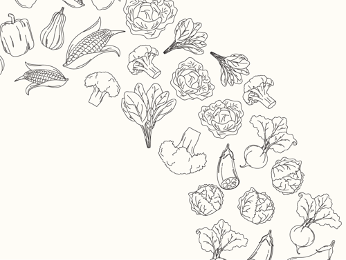 Vegetable line illustration