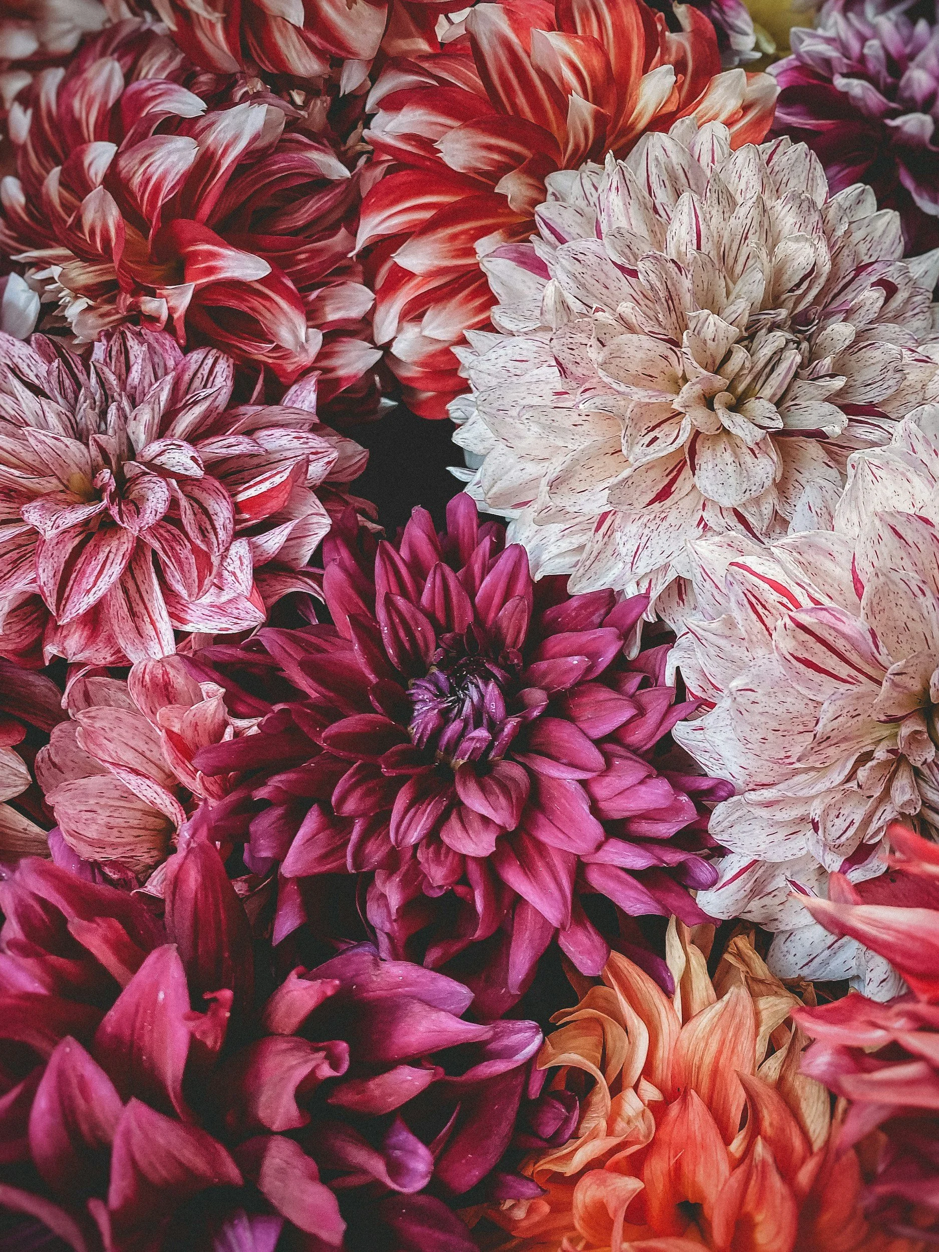 Women's & Hormonal Health