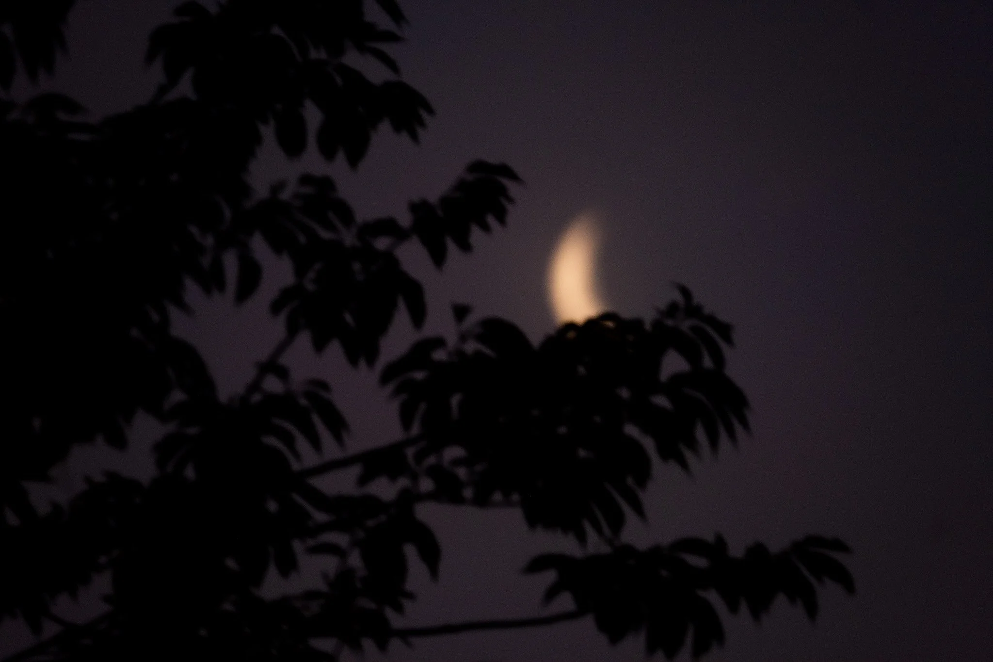 image_6483441.JPG