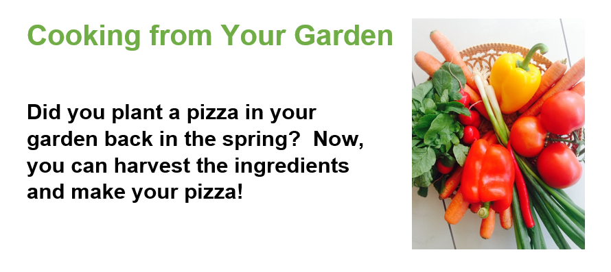 Cooking from your Garden