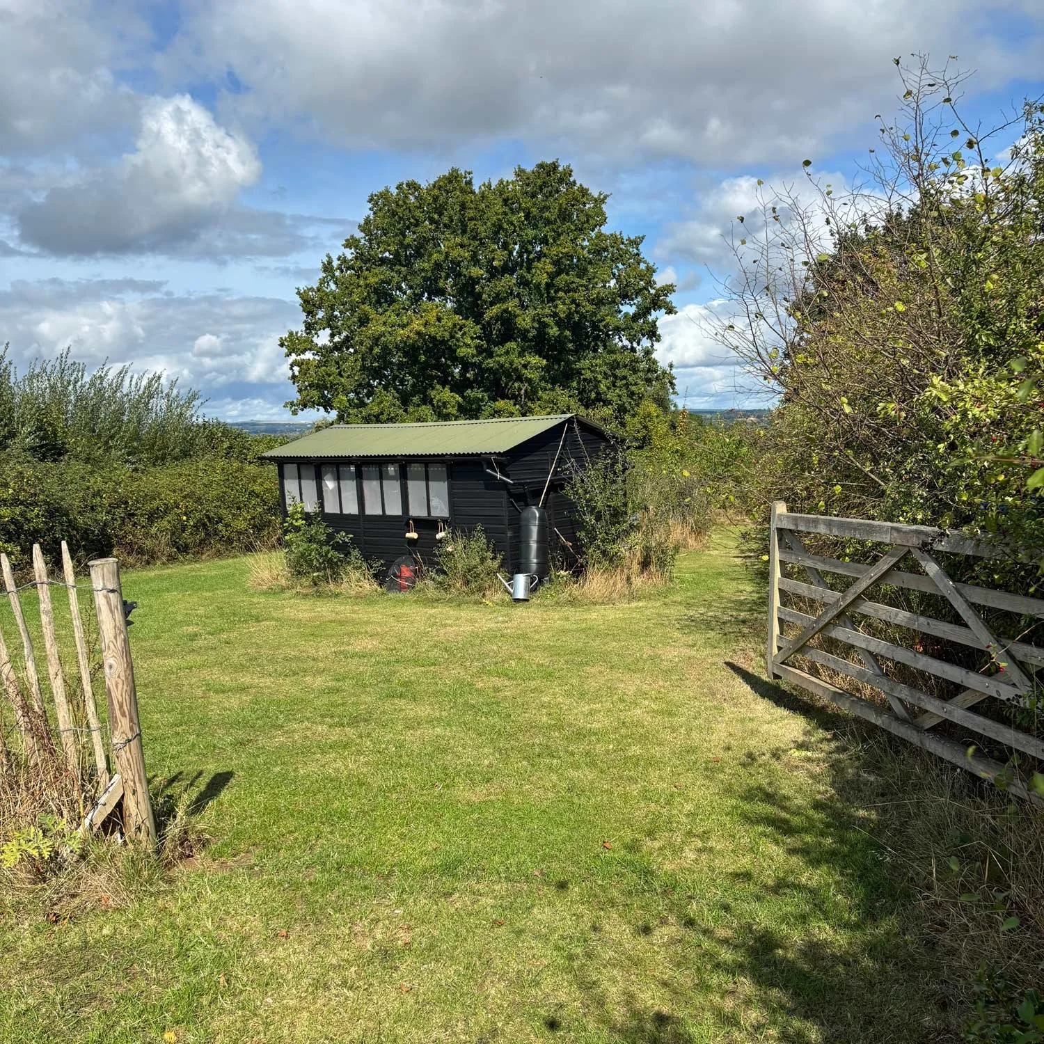 Thinking differently