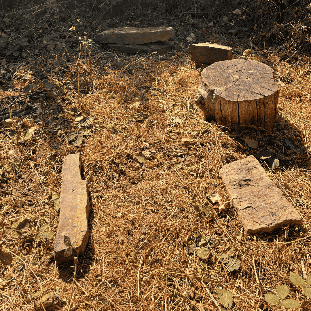 secret campfire