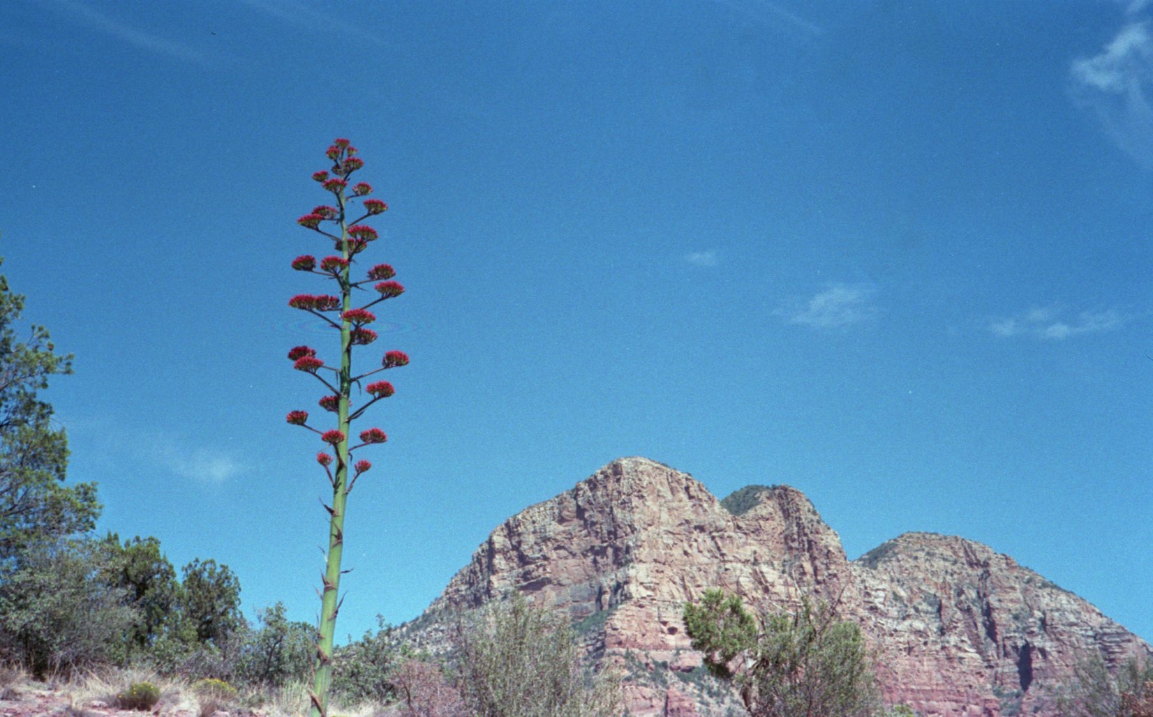 img20220326_14415500.jpg