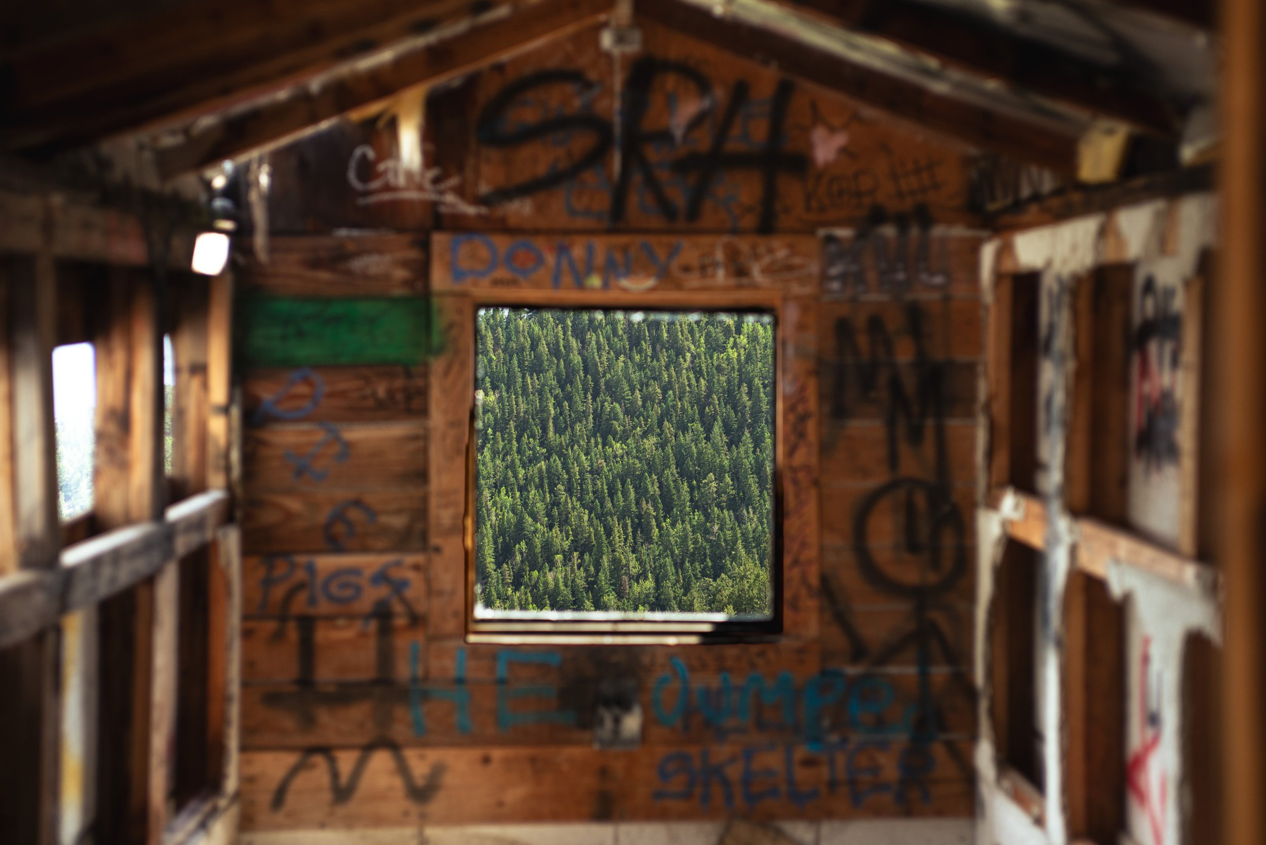 Inside Abandoned Gold Mine