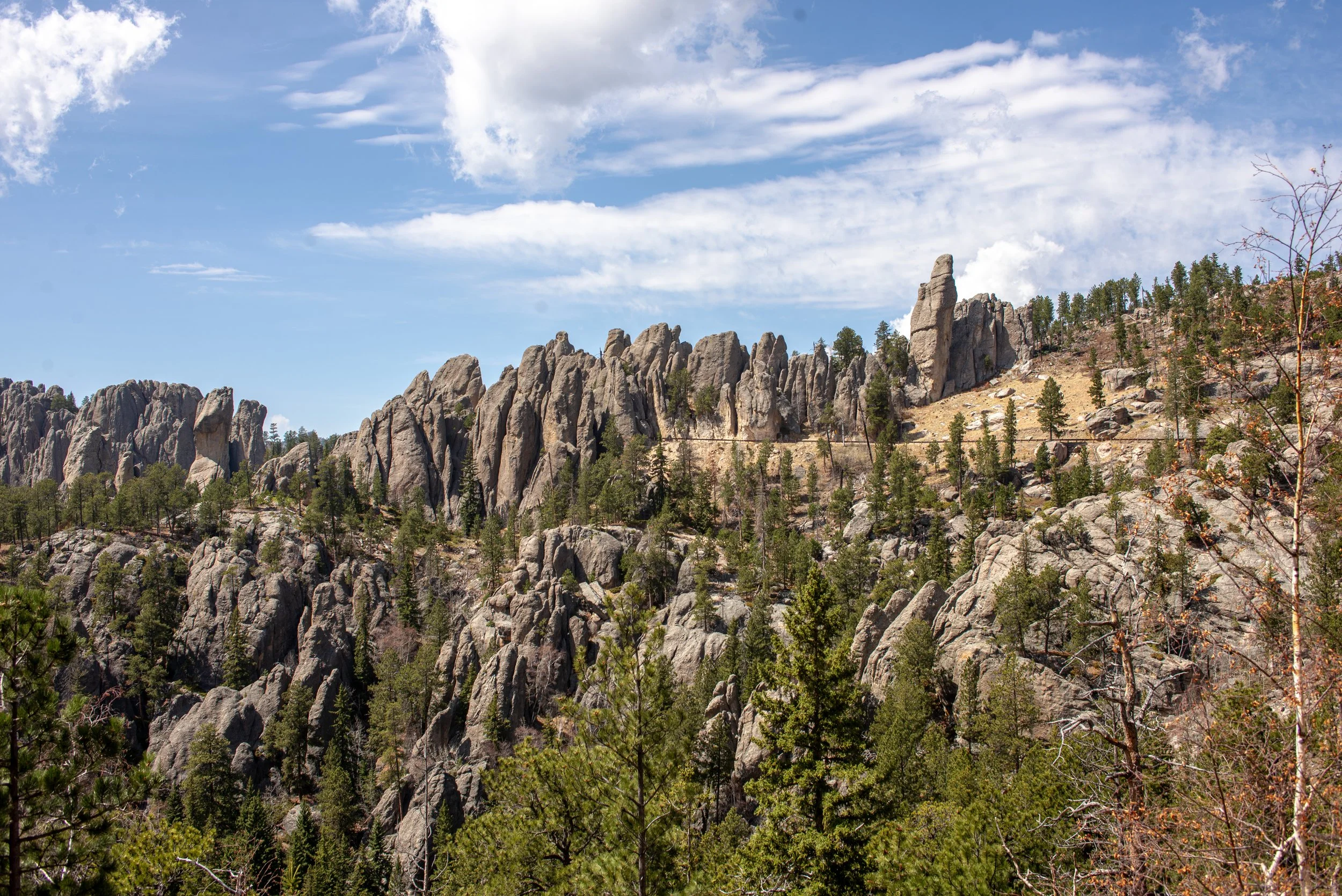Custer State Park One