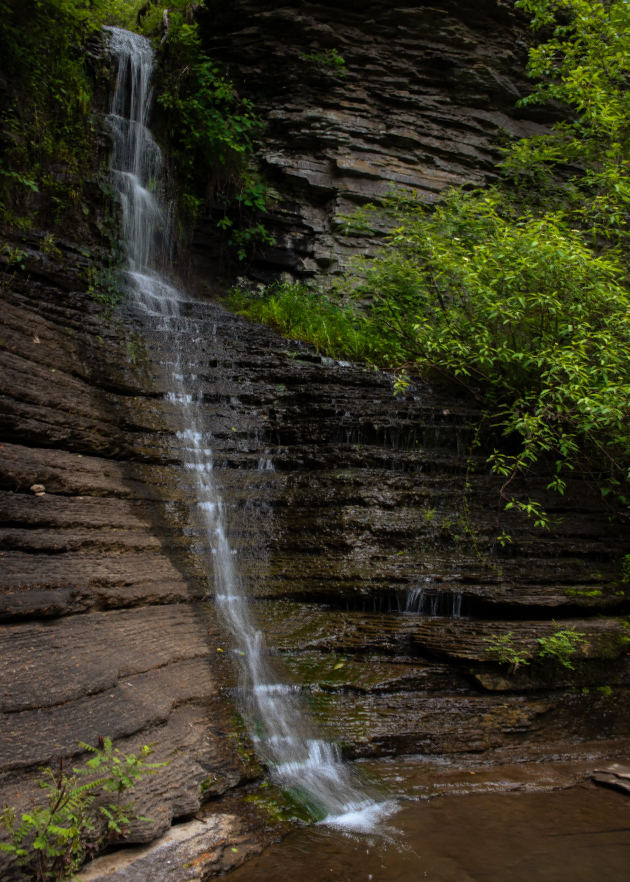 Arkansas Waterfall