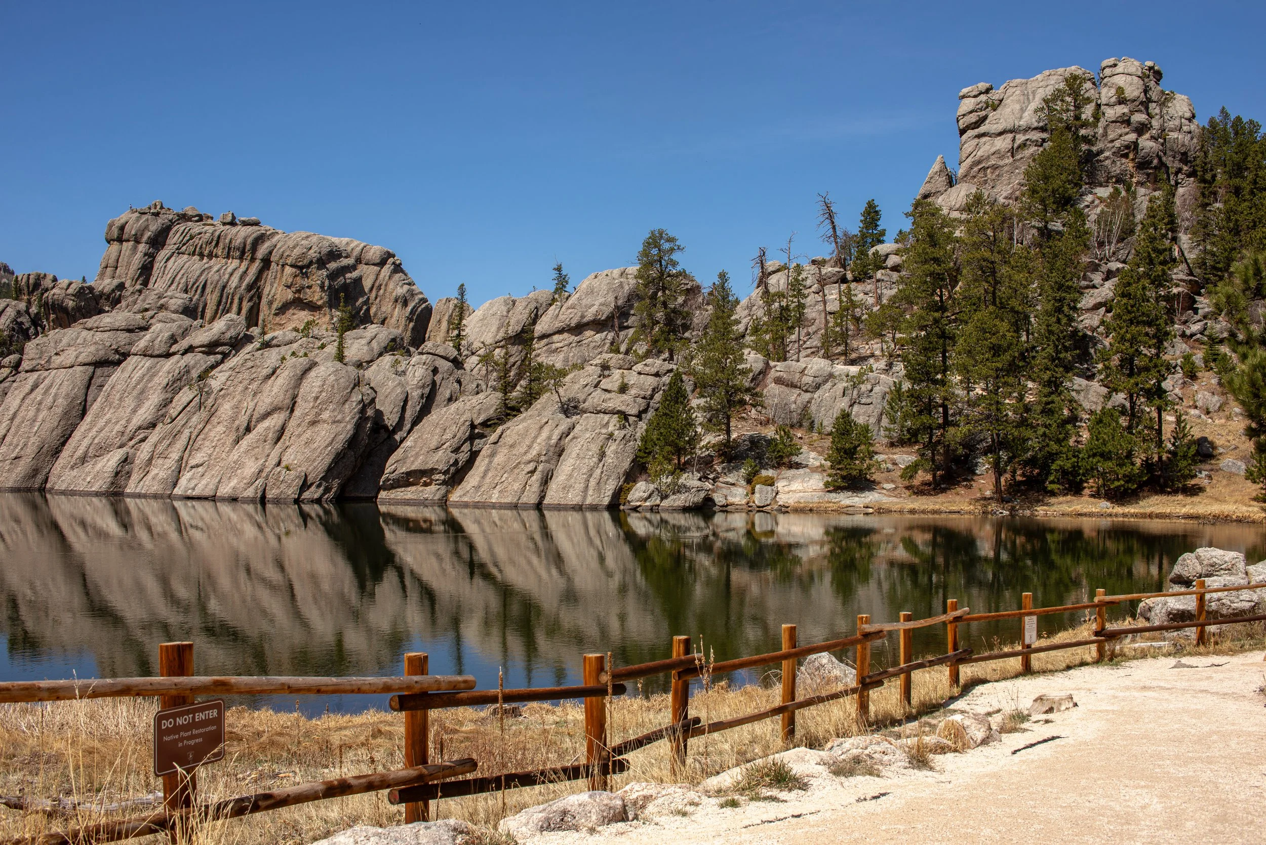 Custer State Park Three