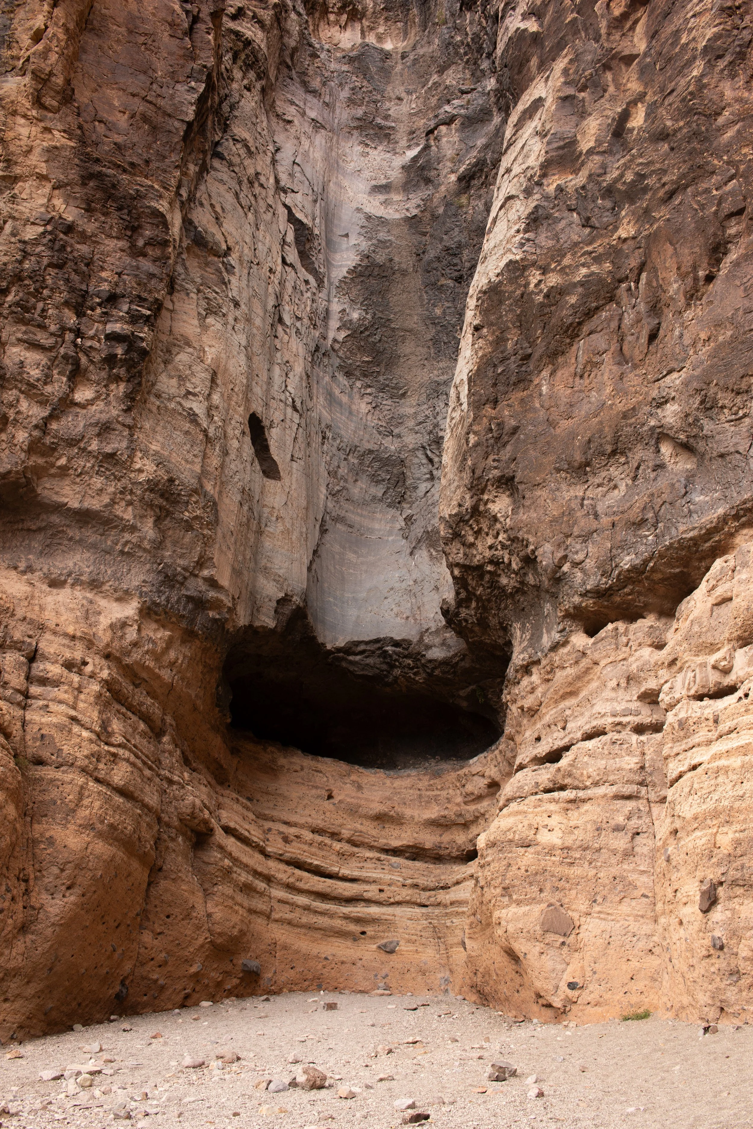 Big Bend National Park Four