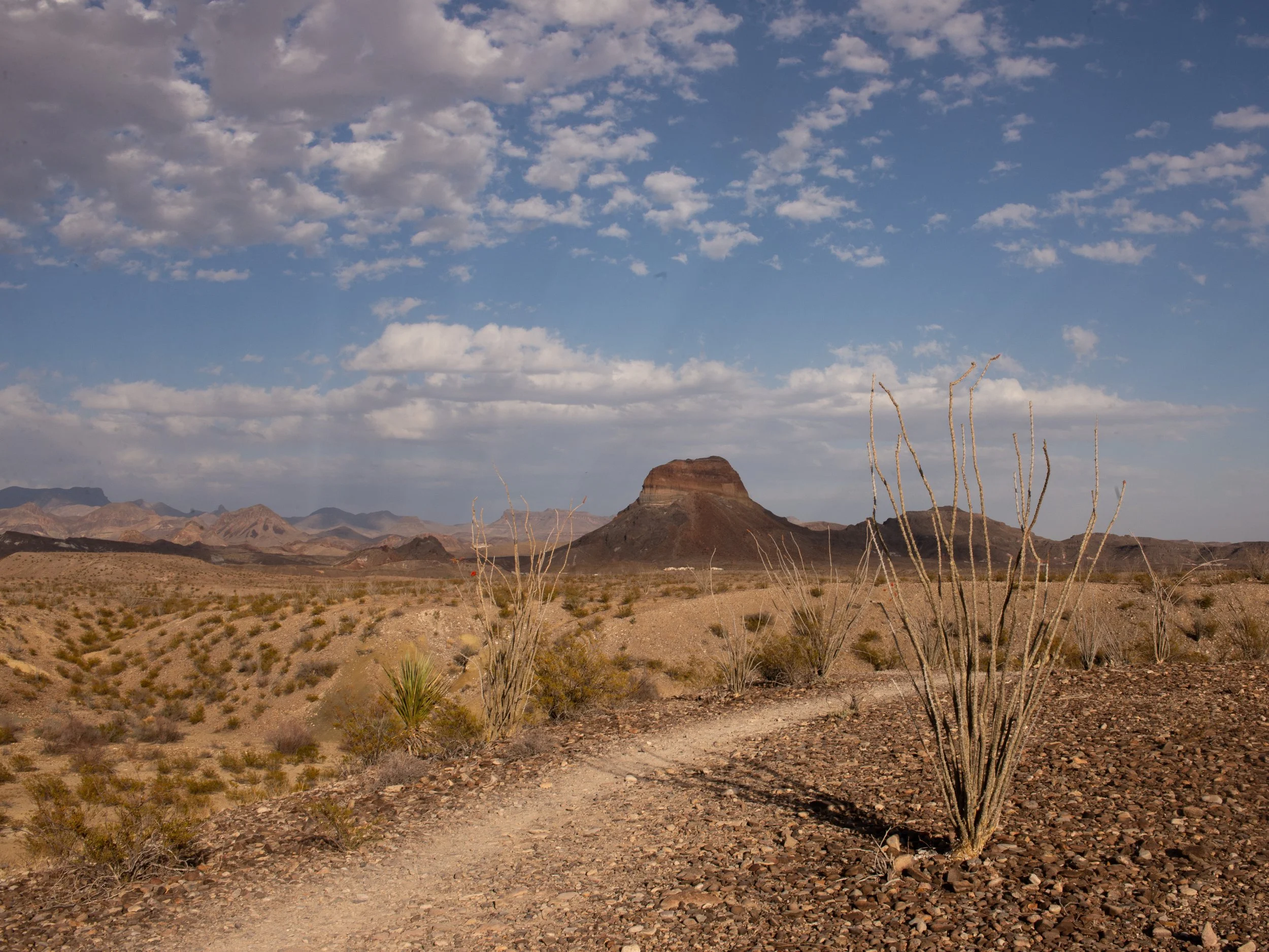 Big Bend National Park One