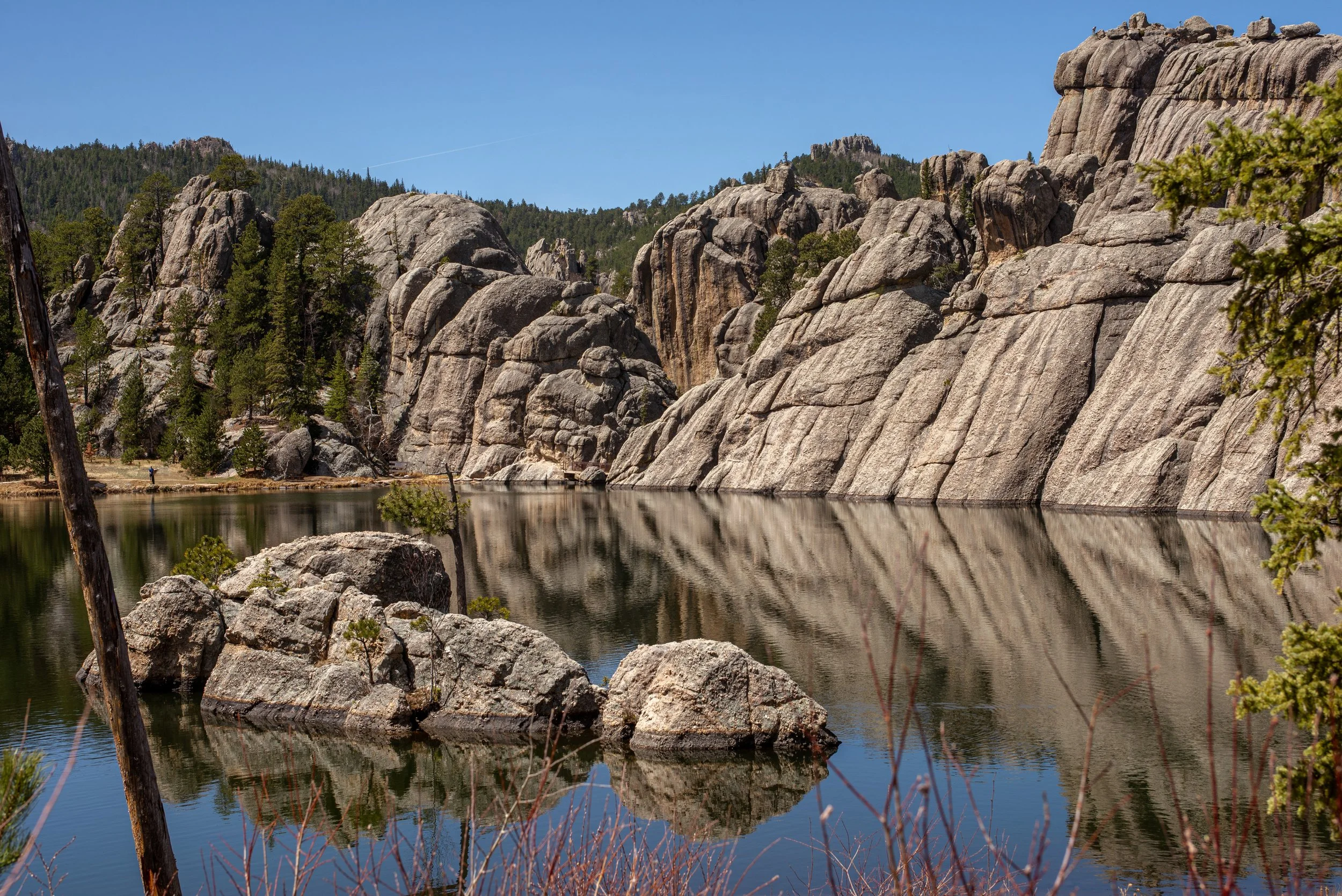 Custer State Park Two