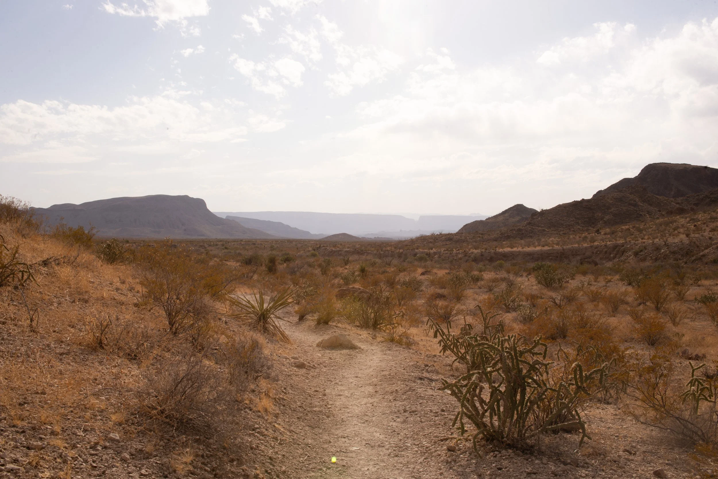 Big Bend National Park Three