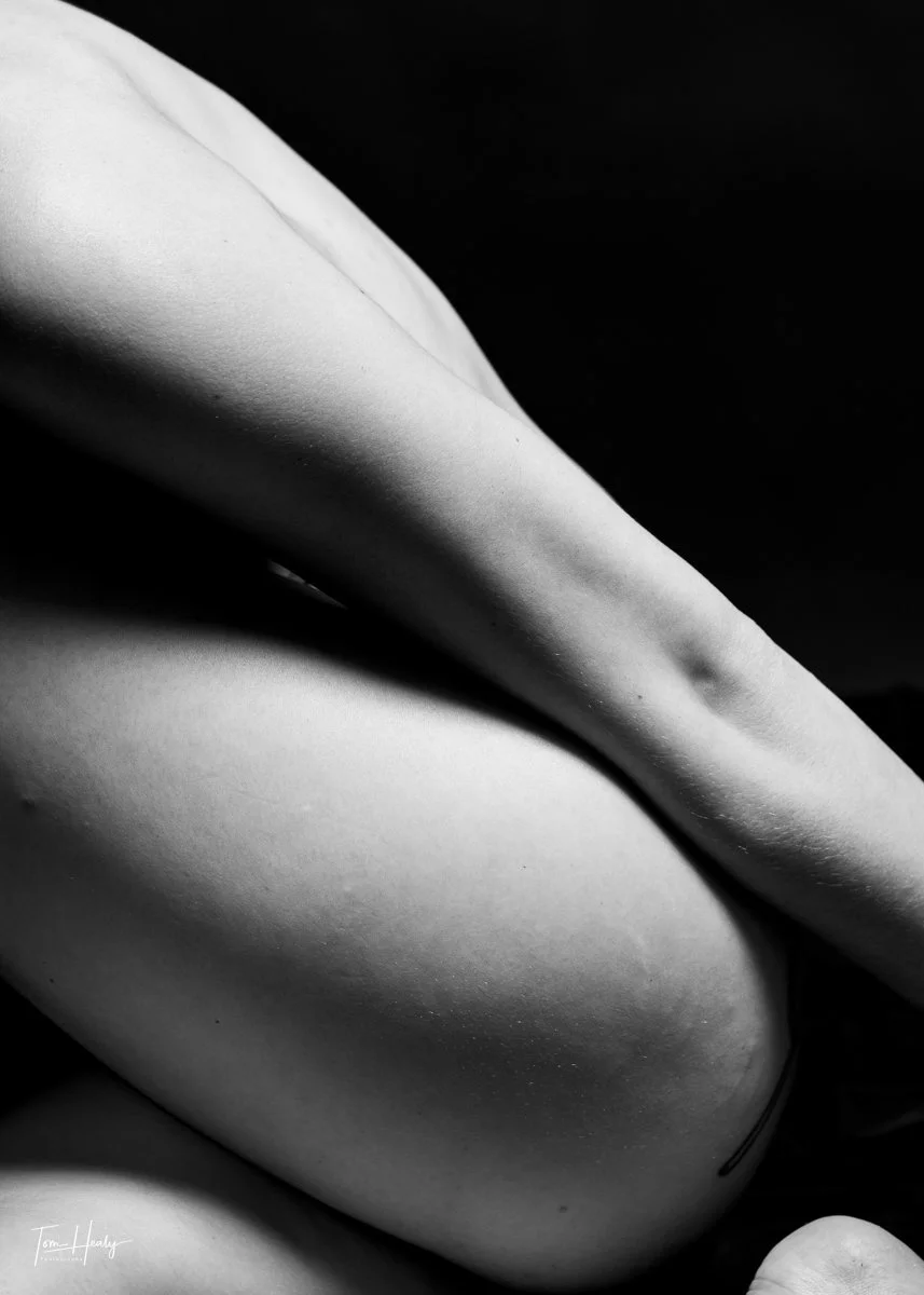 Photo by: Tom Healy