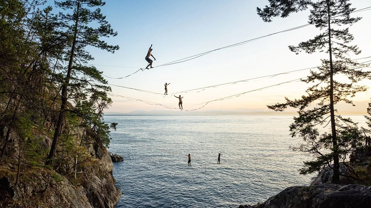 Three people walking on wires strung between trees over a body of water at dusk, with two more people standing in the water below.