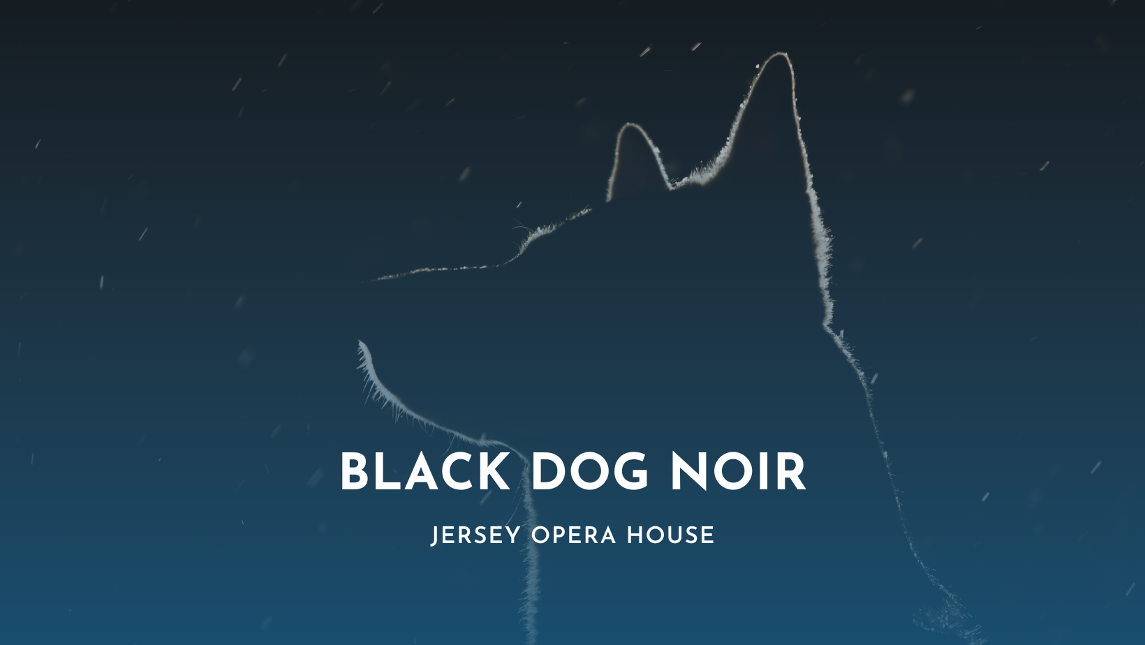 Black Dog Noir