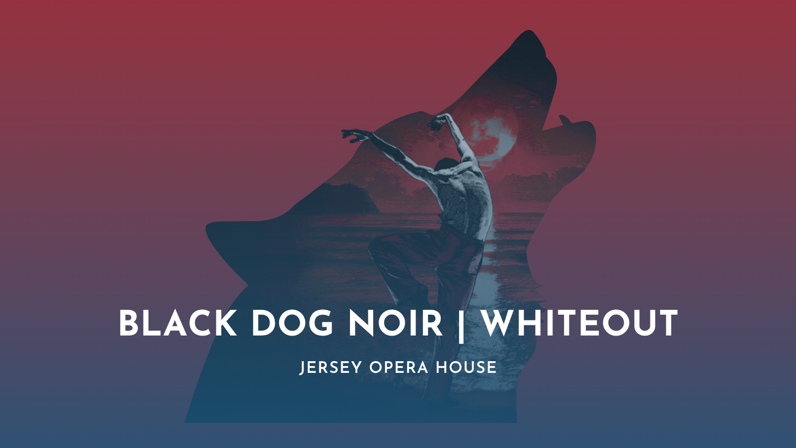 Black Dog Noir