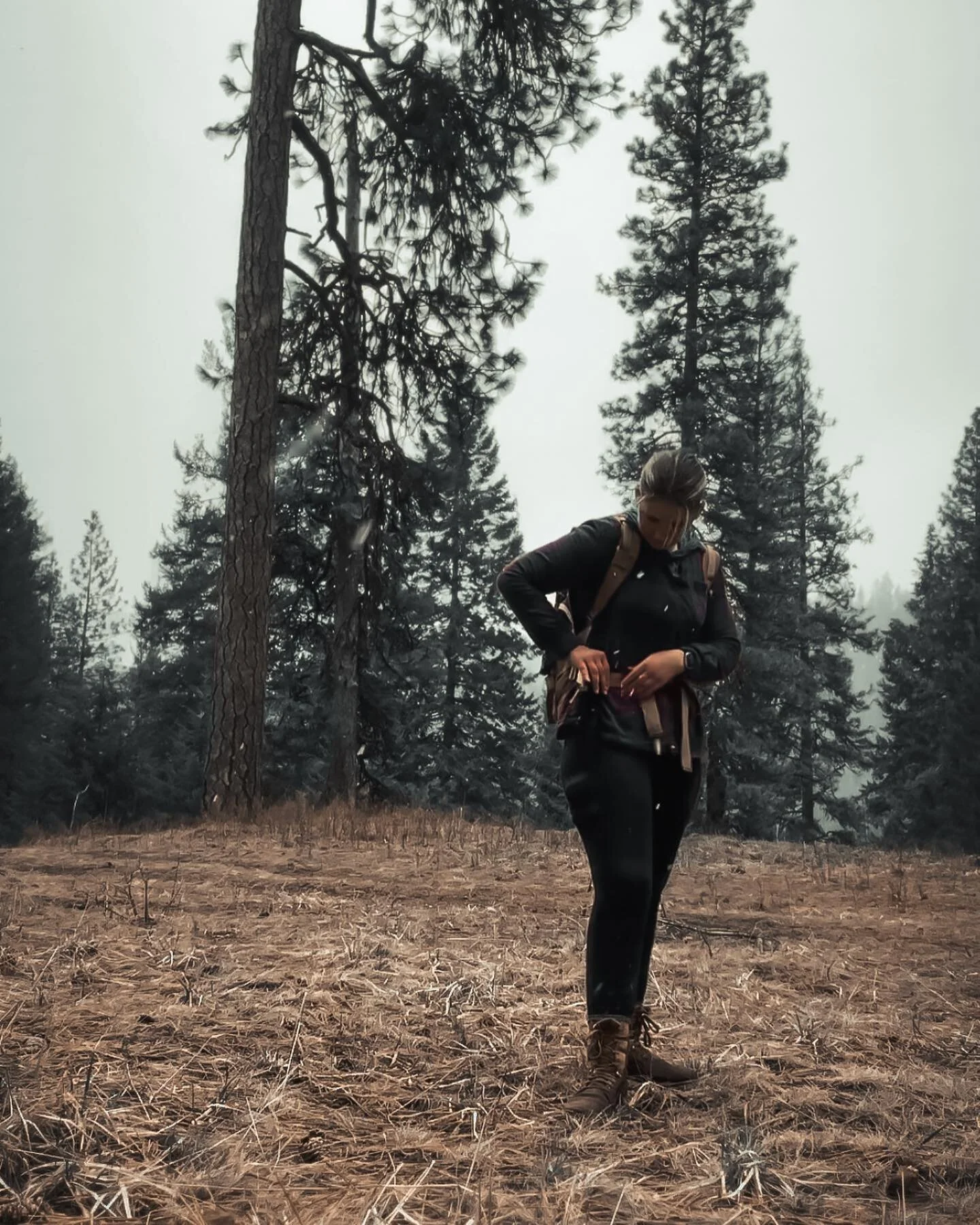 What do you say we pack our things and get out of here? I've been saving all my life just to disappear 🌲🌲🏔️🌨️