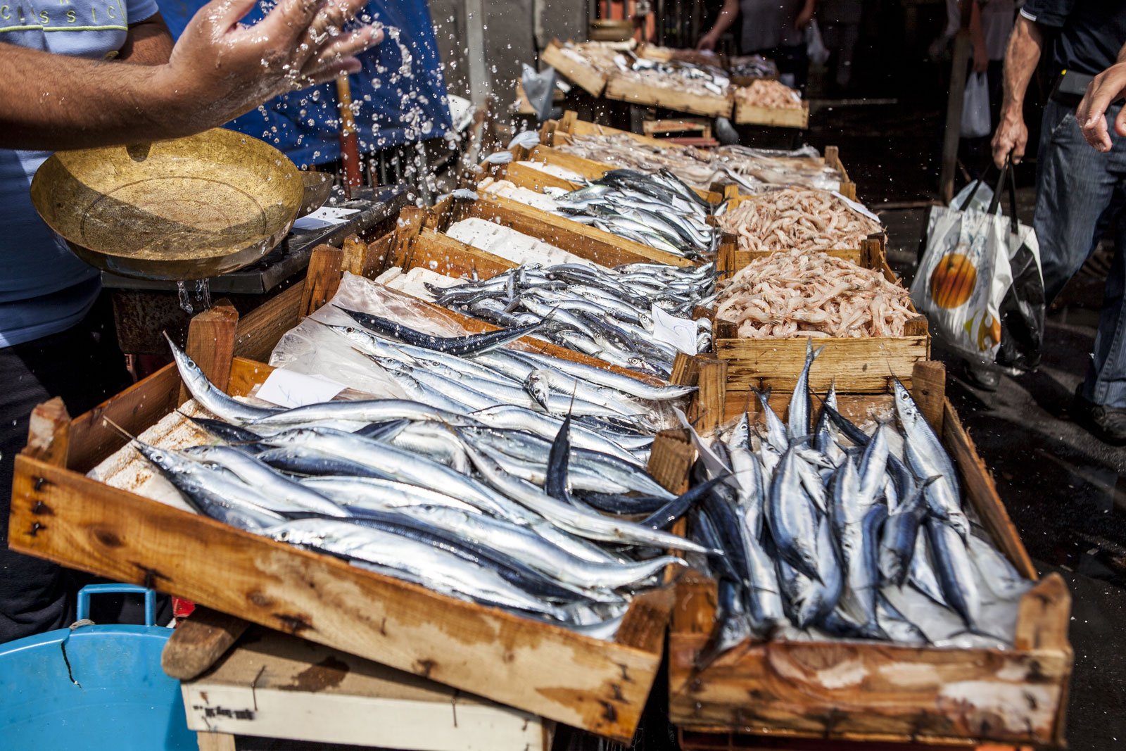 Catania's bustling fish market