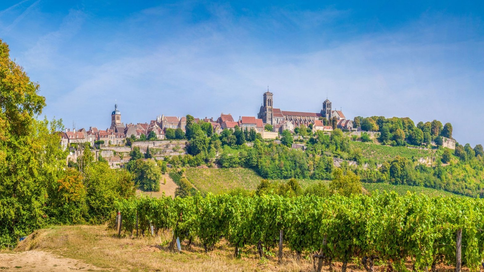 The view through the vineyards to Vézelay