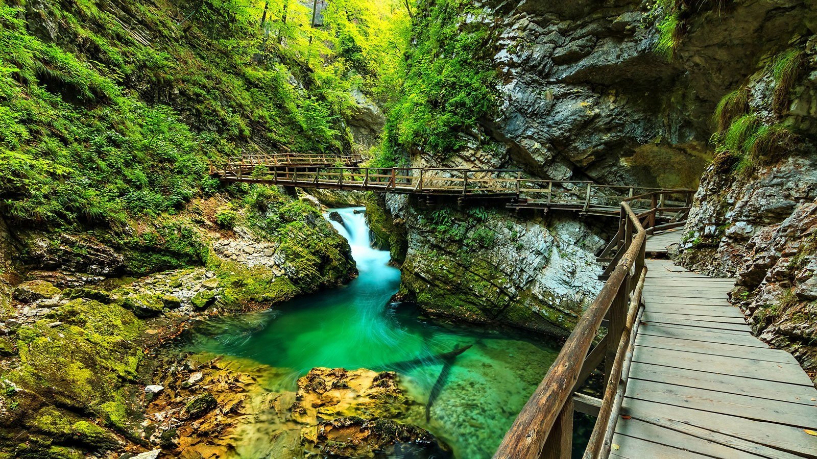 Slovenia's Vintgar Gorge
