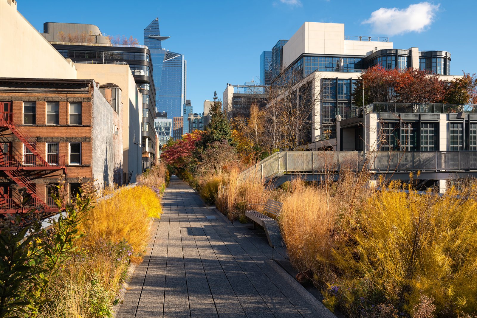 Piet Oudolf's native grasses in autumn, on The High Line