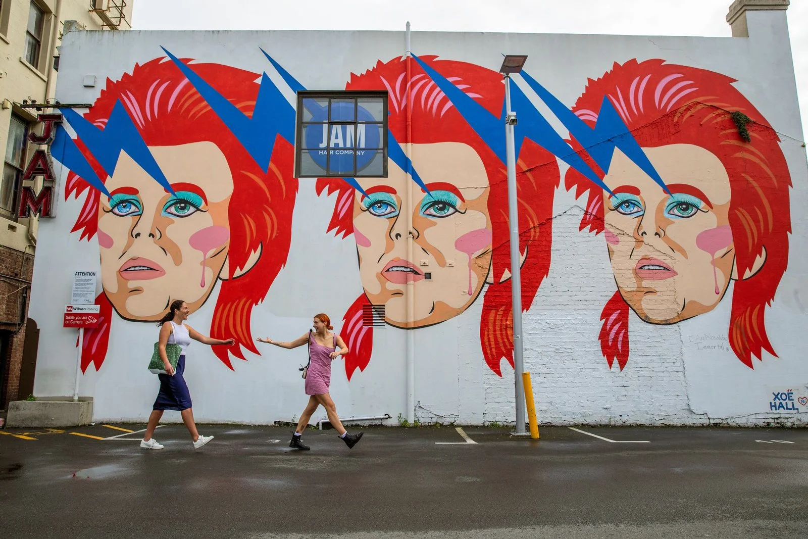 Hannah's Lane in Wellington (Camille Rutherfood, Tourism NZ)