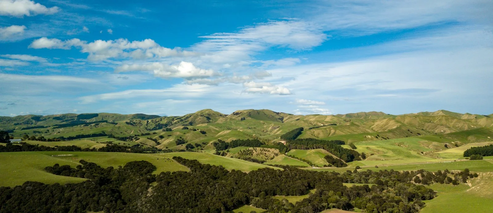 The landscape of Martinborough wine region
