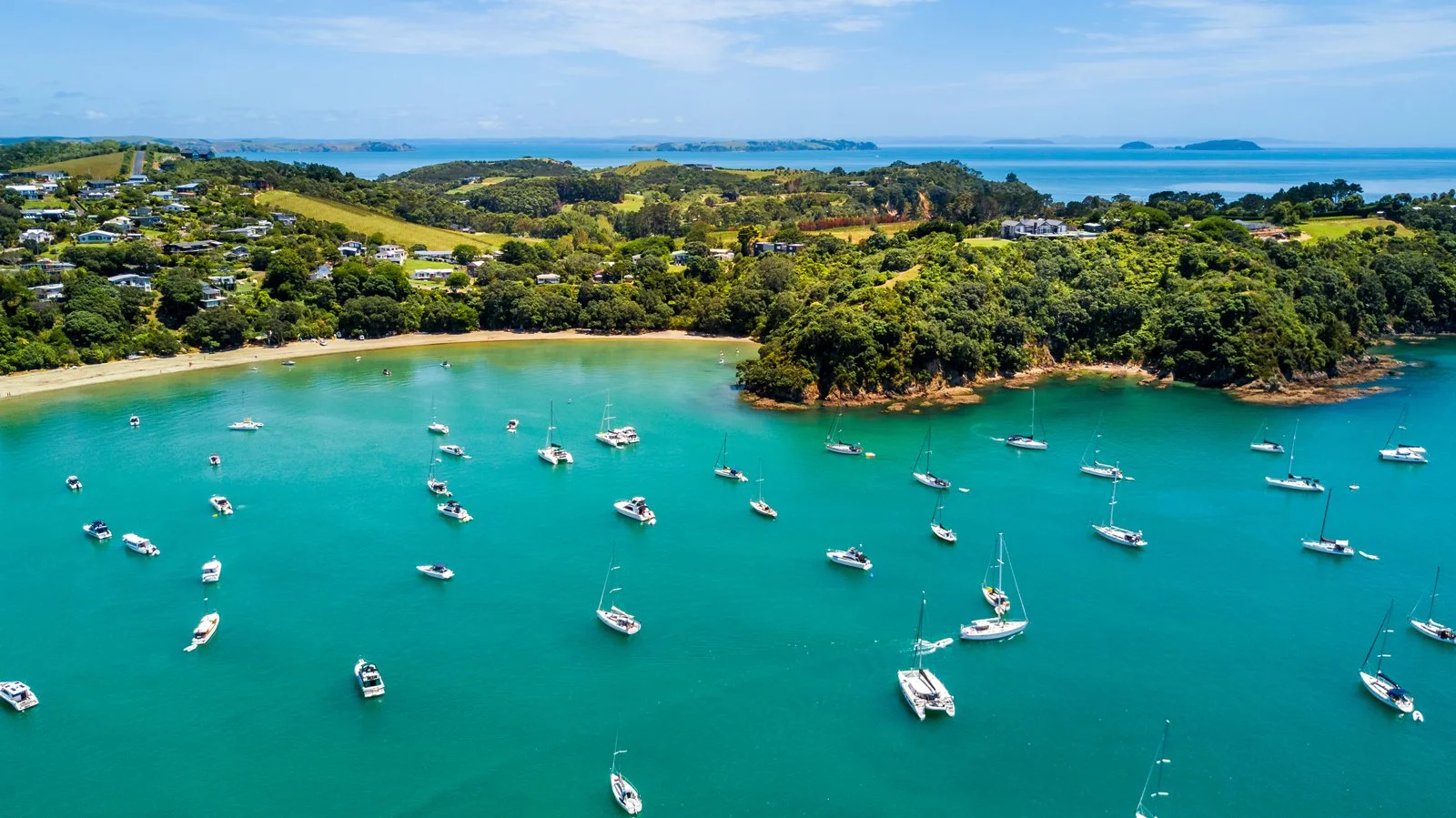 Waiheke Island, a bohemian enclave and now commuter island-suburb for Auckland