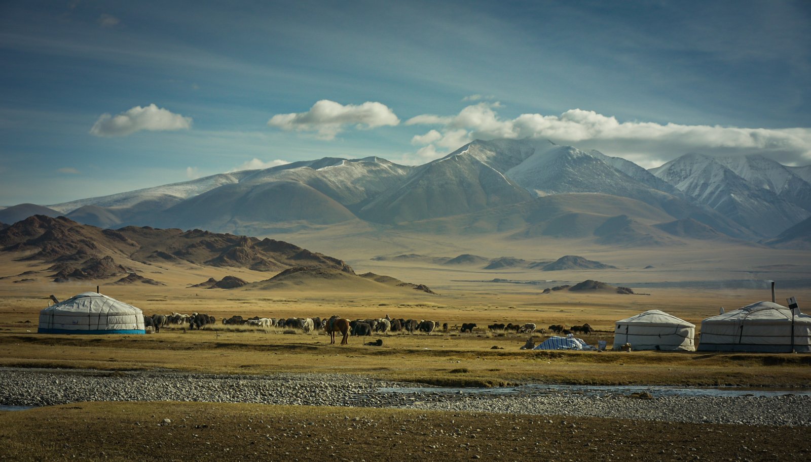 Western-Mongolia-ger-camp_shutterstock_2037236216_web1600.jpg