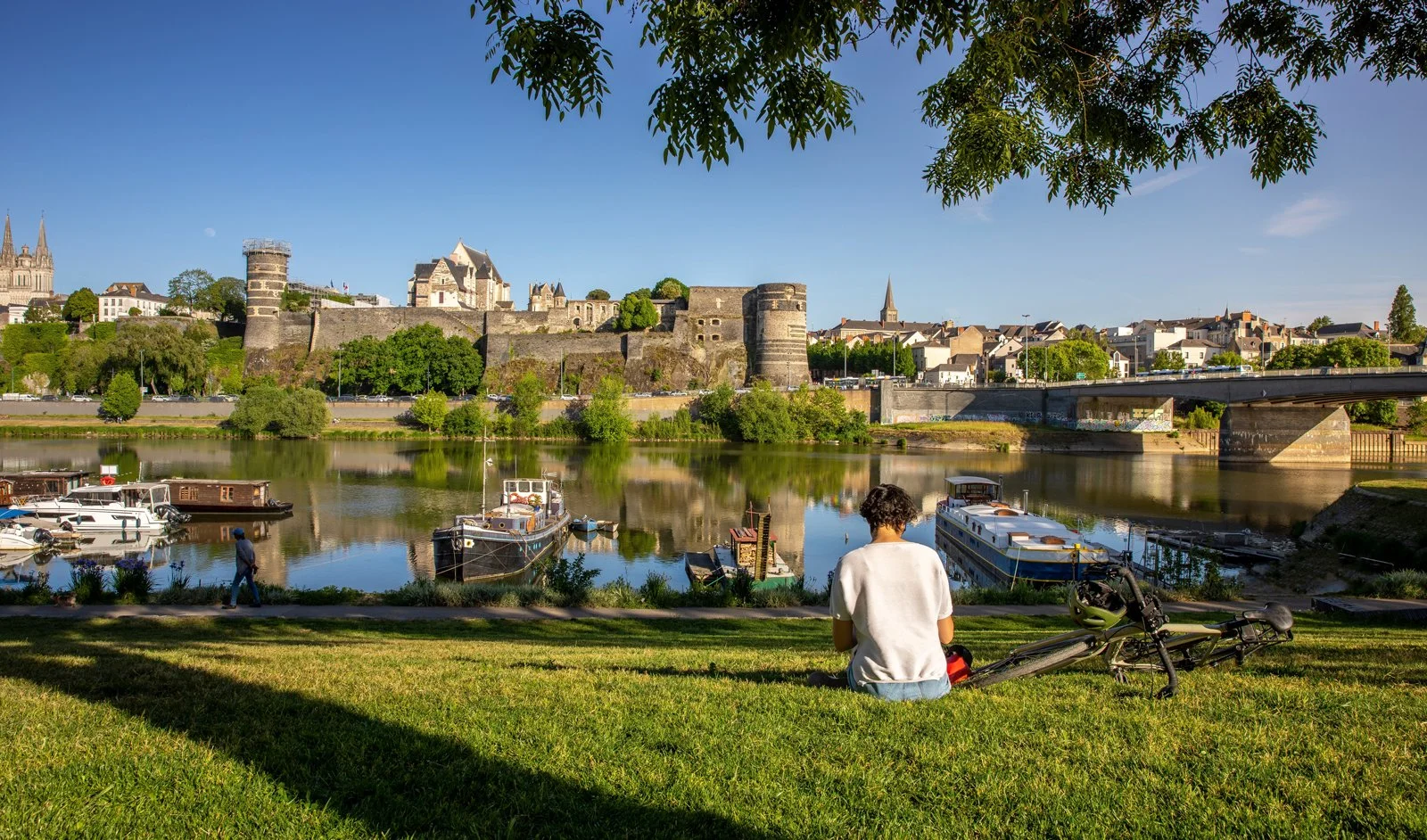 Angers_shutterstock_2209767231-web.jpg
