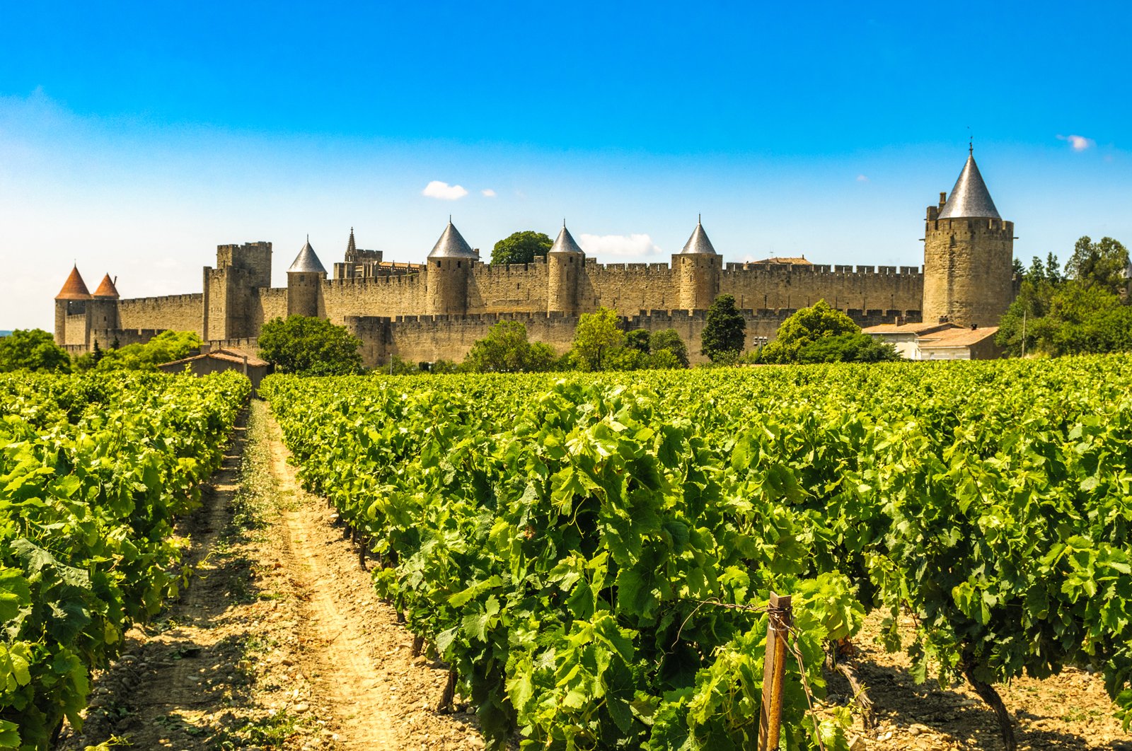 Carcassonne-with-vineyards_shutterstock_1392300602-web1600.jpg