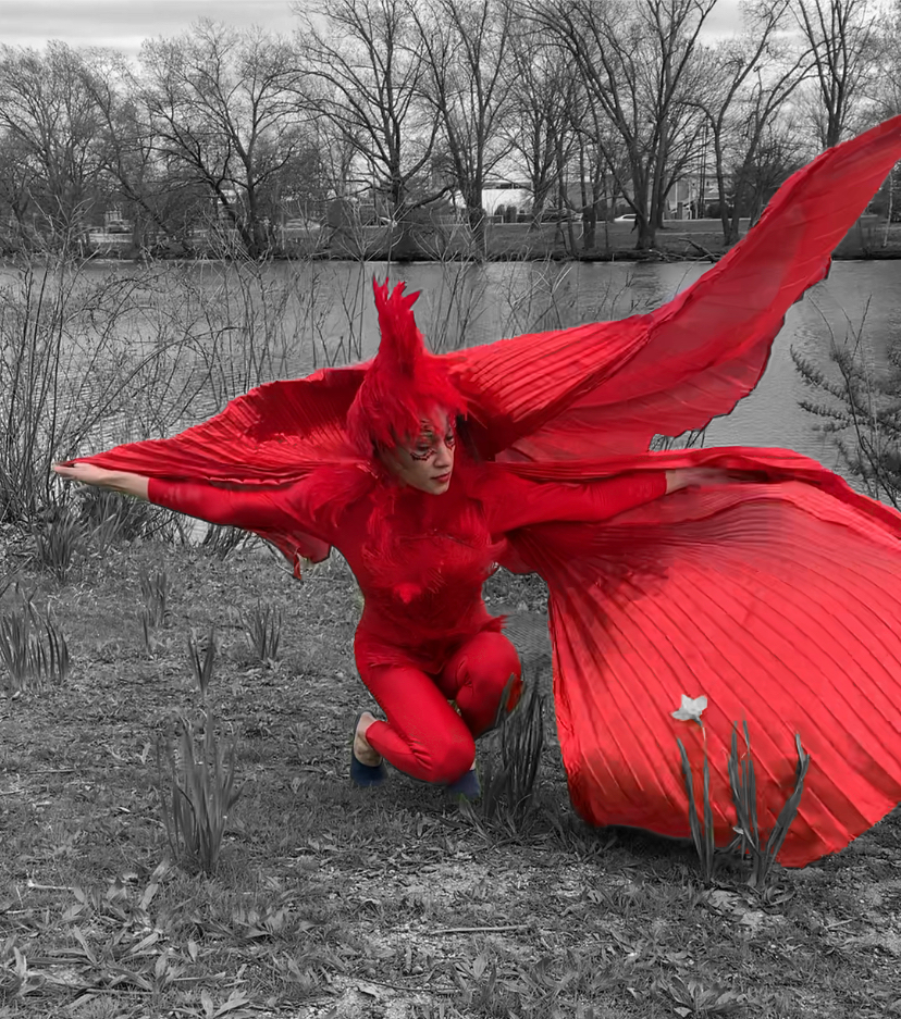 Radiant Firebird, 2022.