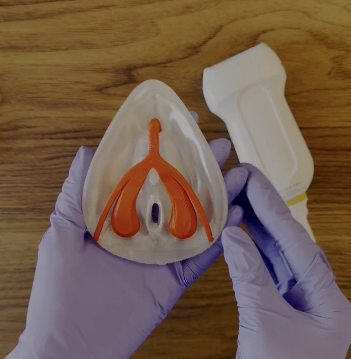 Clitoral Ultrasound Tutorial